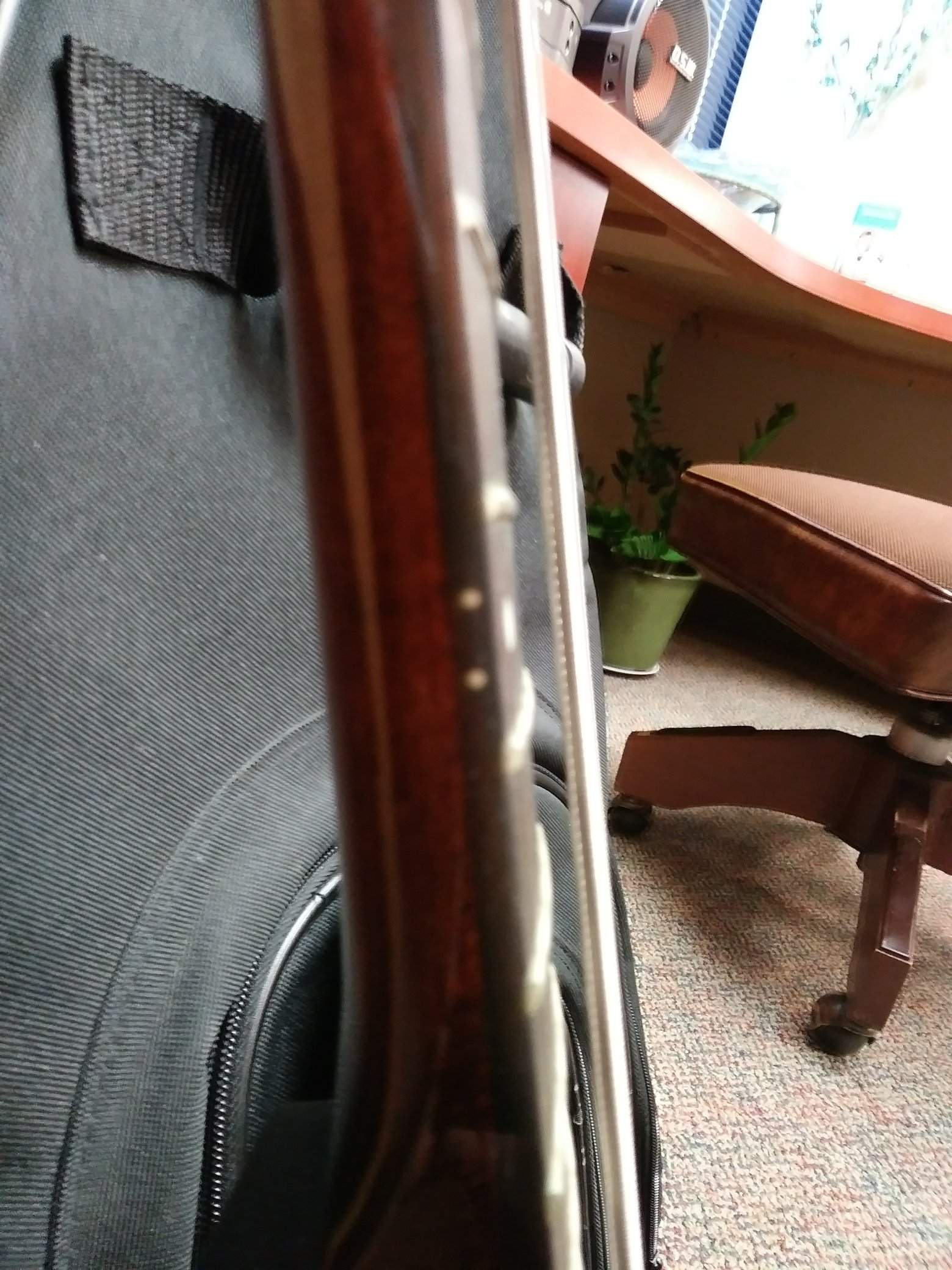20180301_104059_resized.jpg