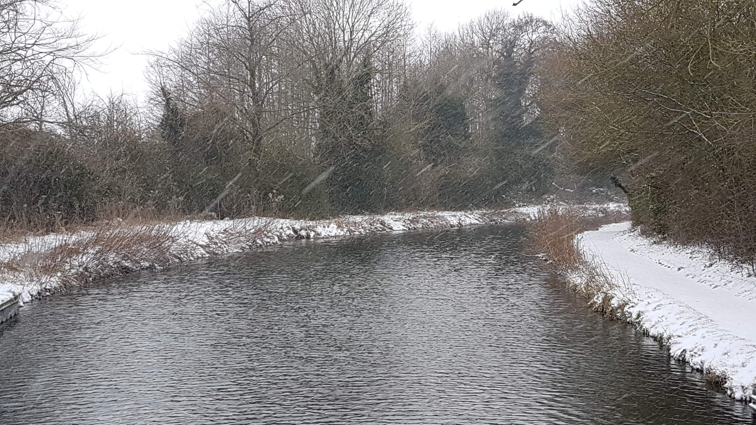 20180301_163903.jpg