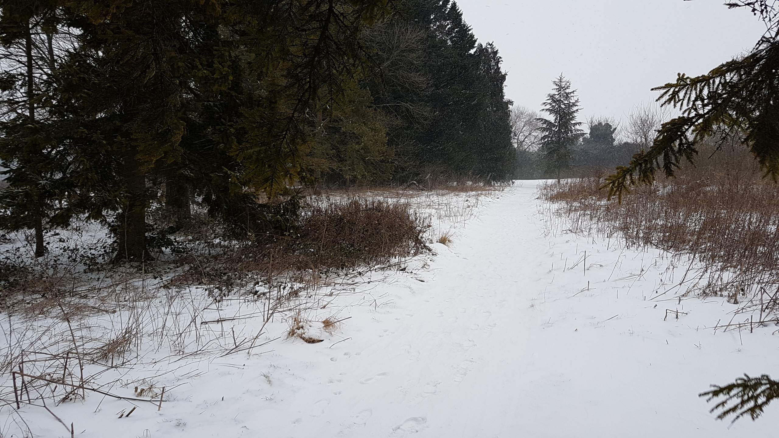20180301_164534.jpg