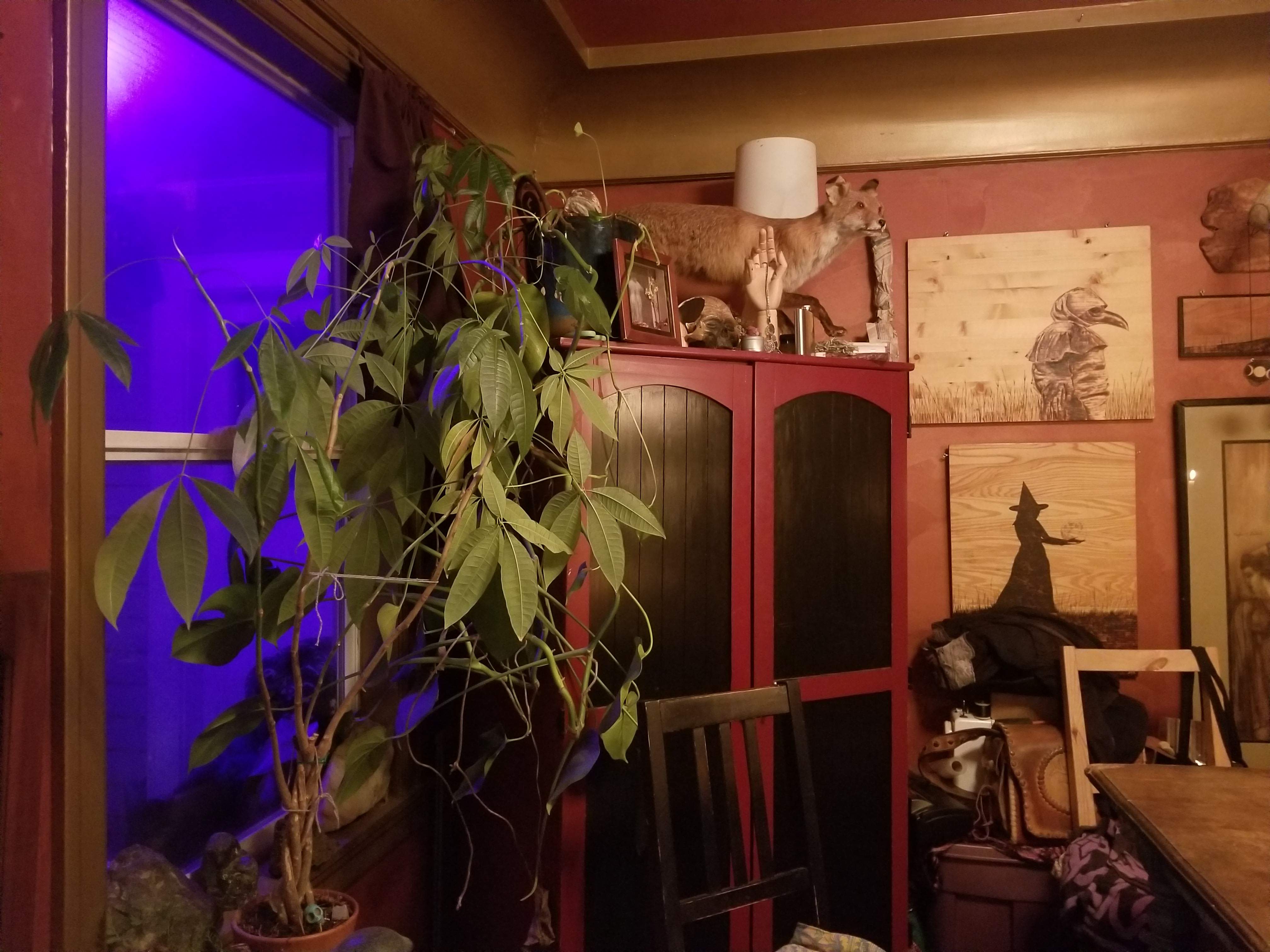 20180301_200427.jpg