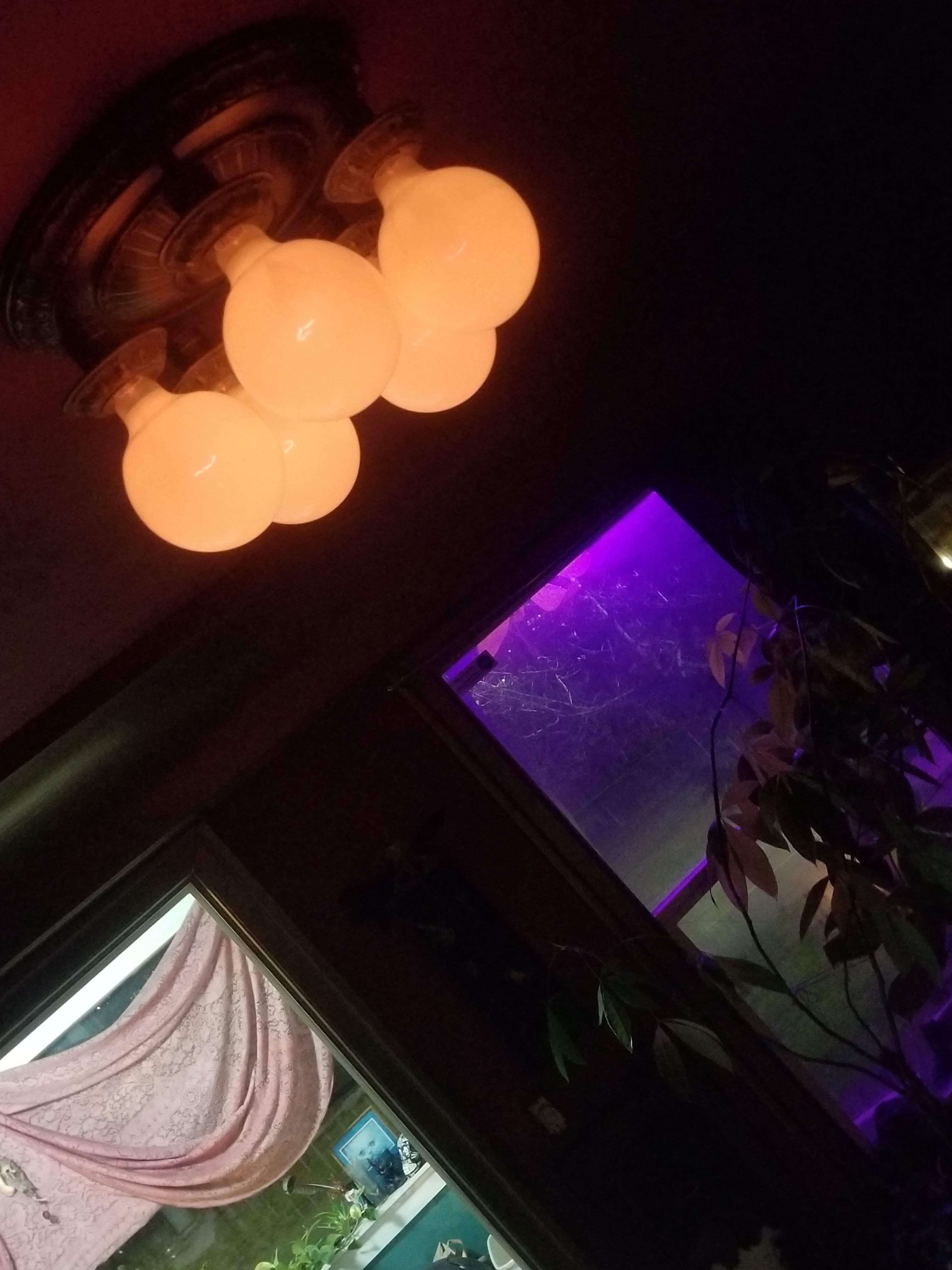 20180301_233722.jpg
