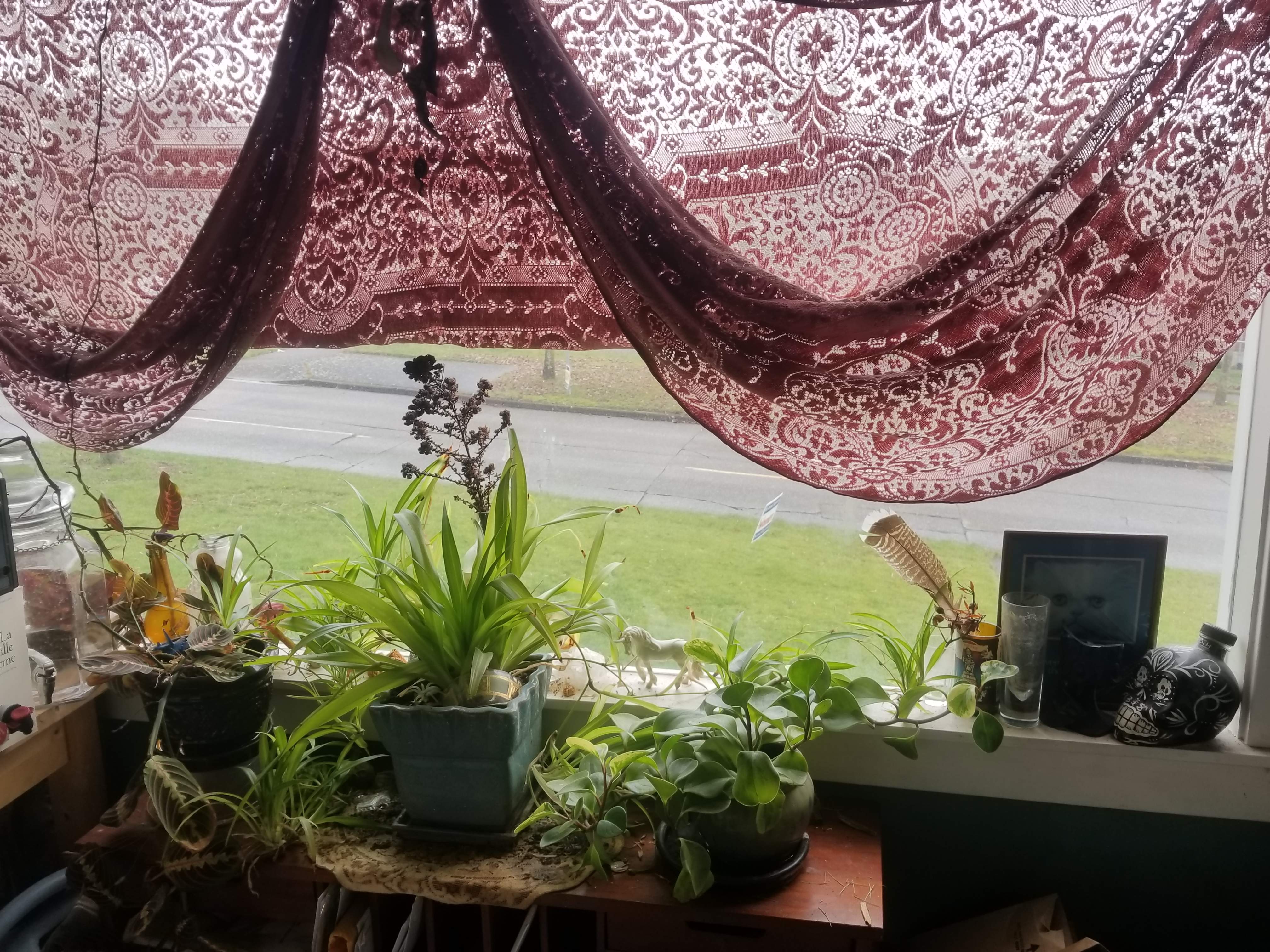 20180302_091556.jpg