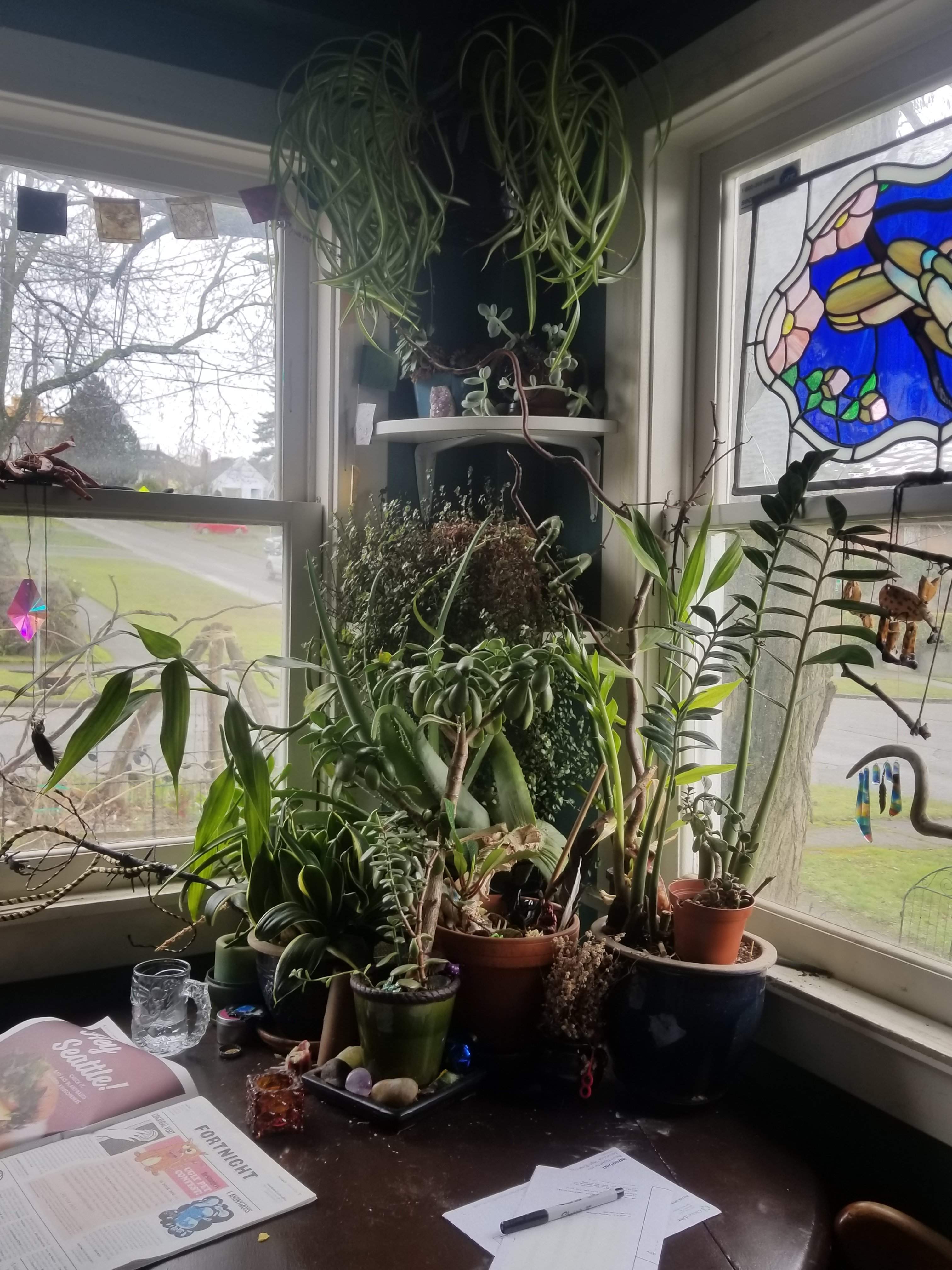 20180302_091645.jpg