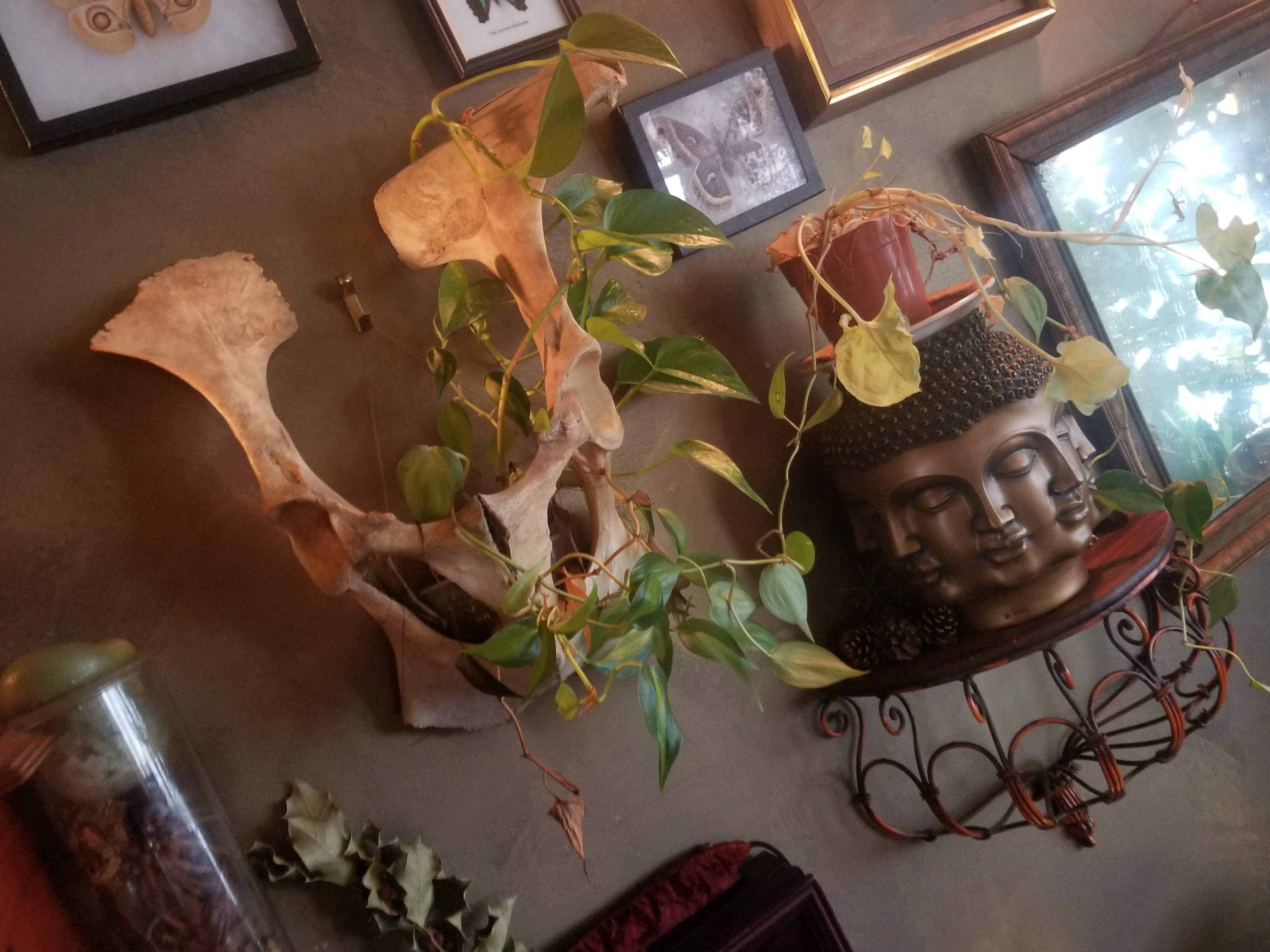 20180302_093114.jpg