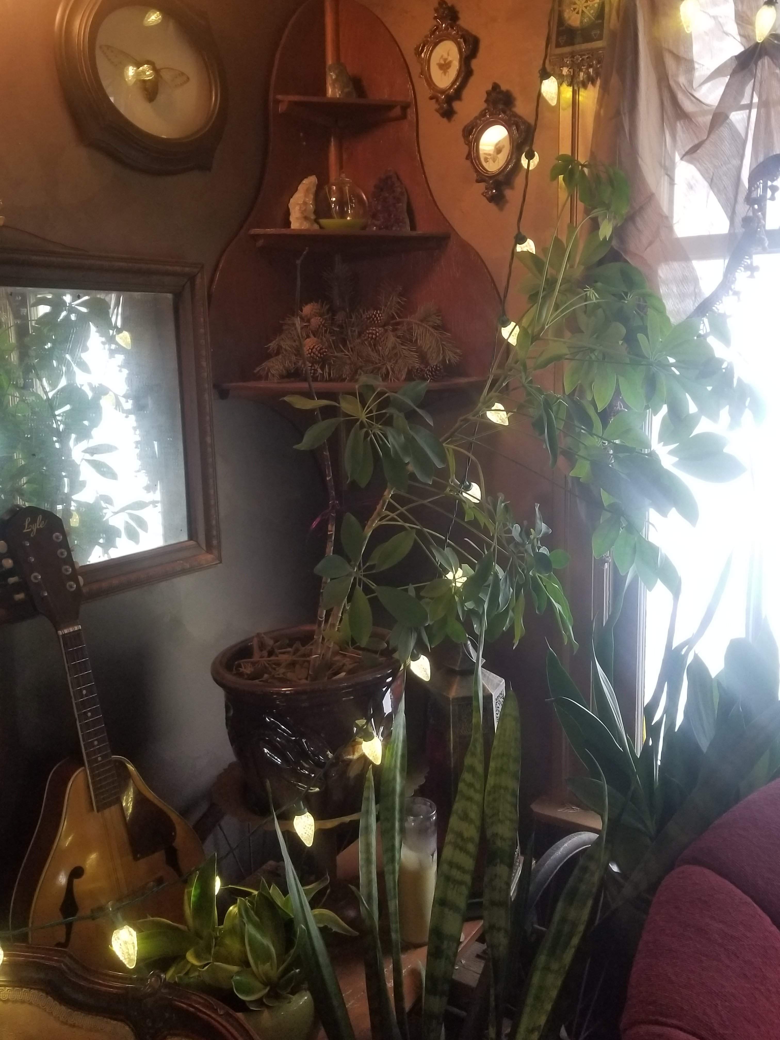 20180302_093123.jpg