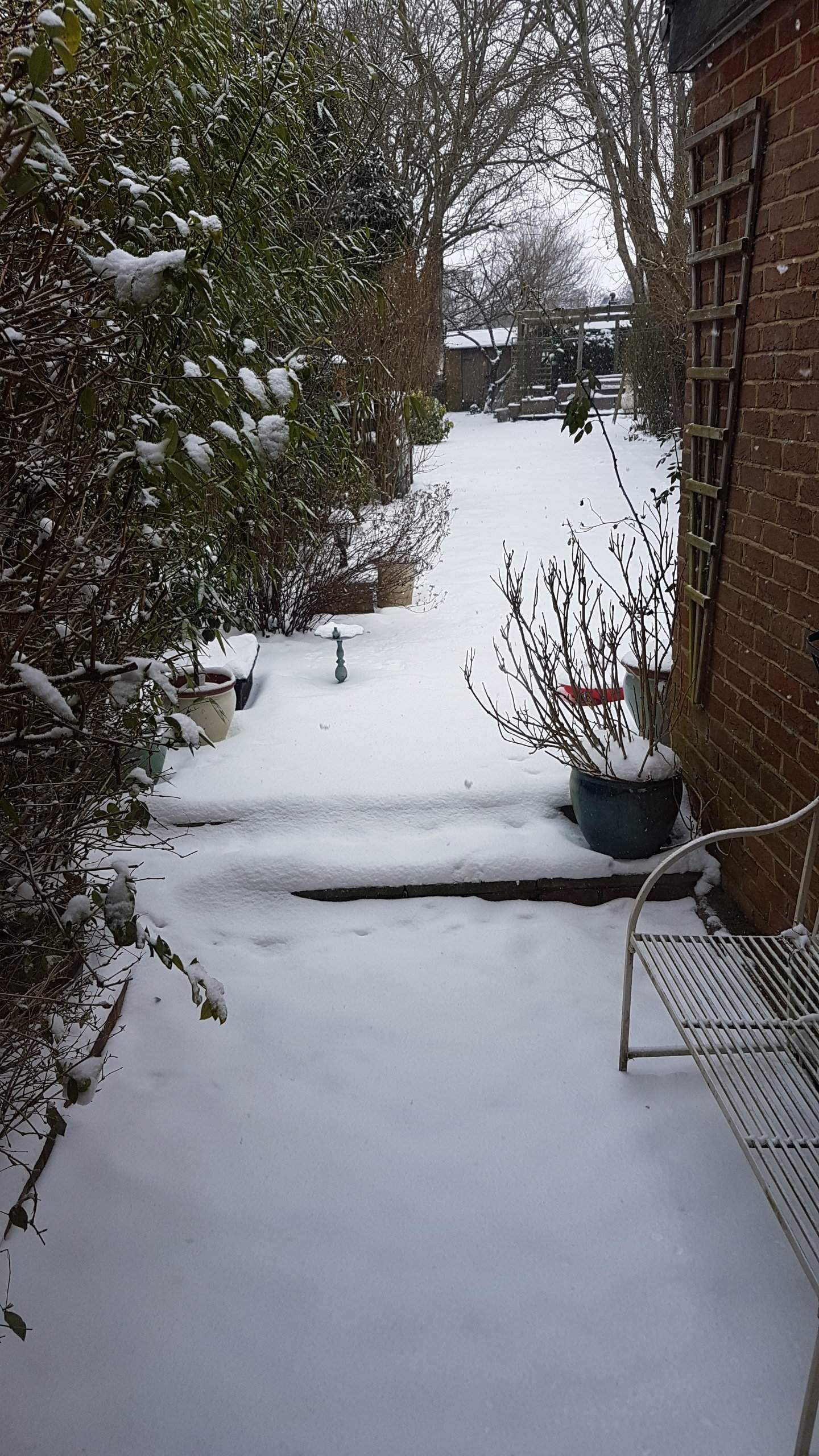 20180302_154811.jpg