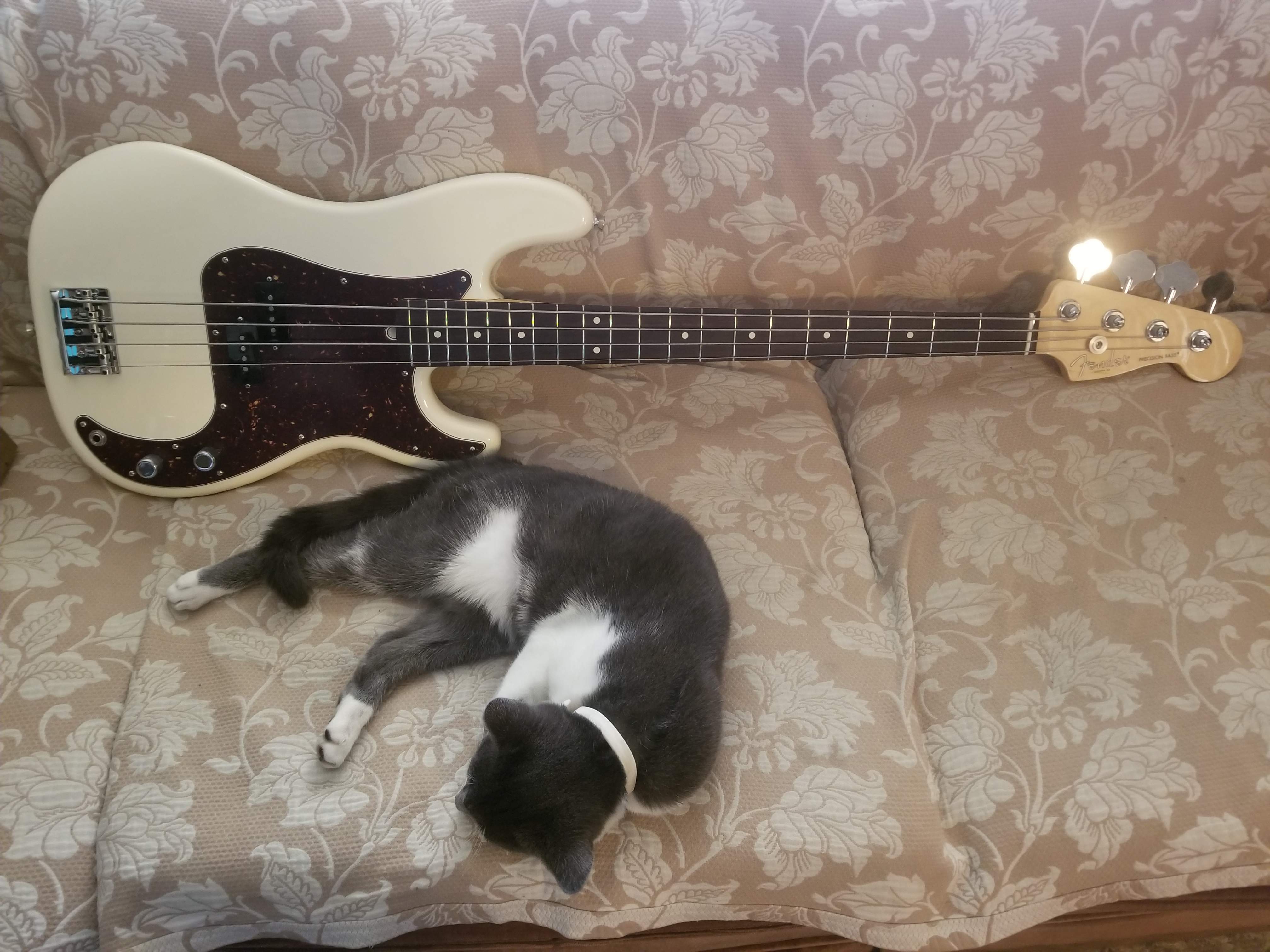 20180315_142111.jpg