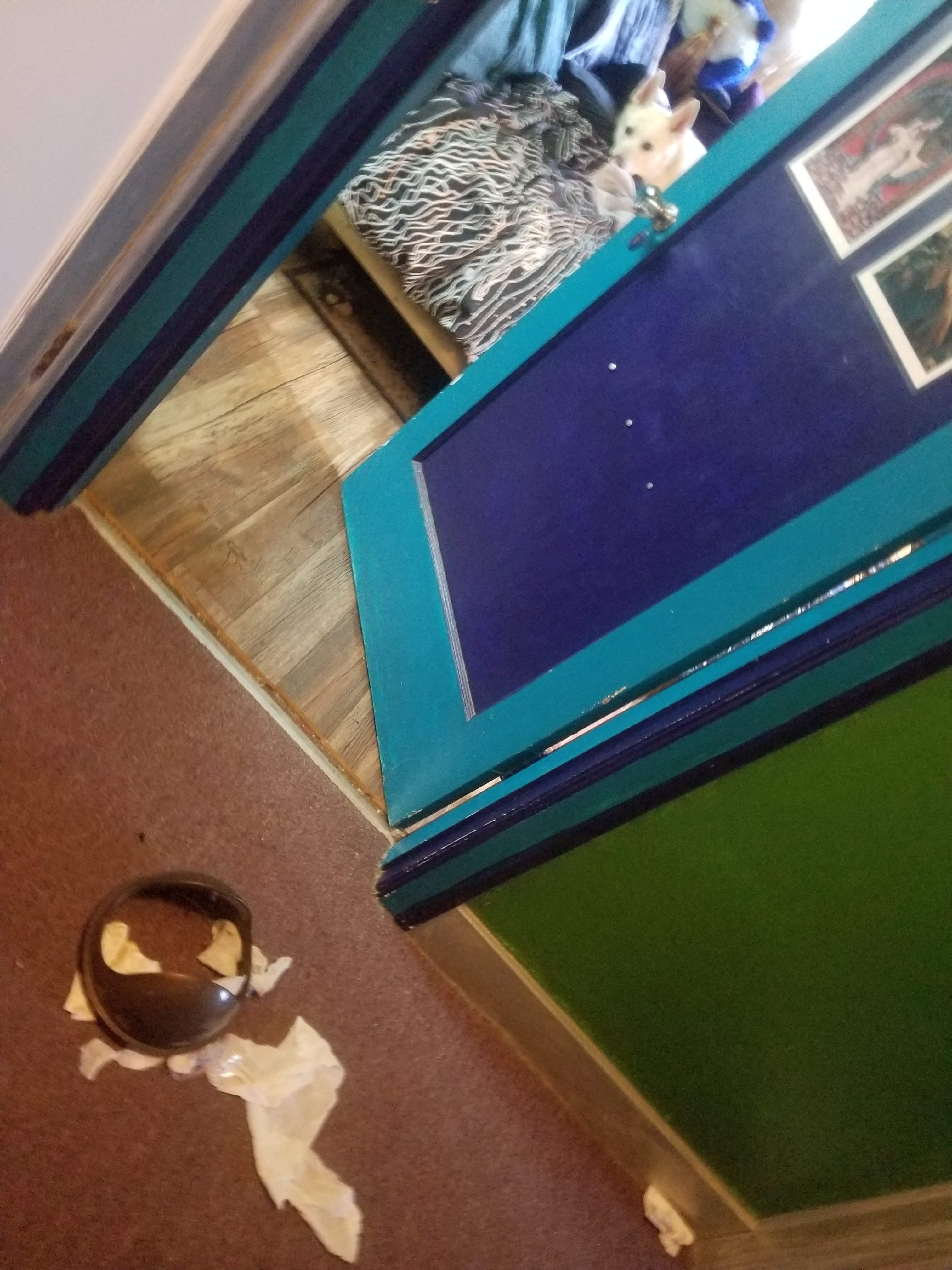 20180315_170037.jpg