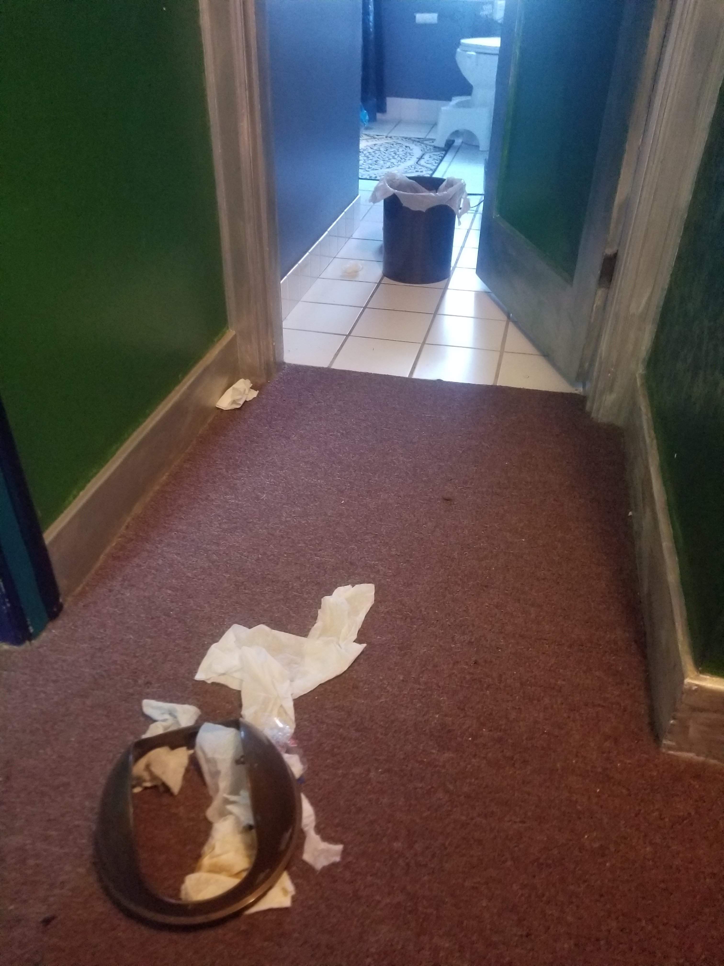 20180315_170047.jpg