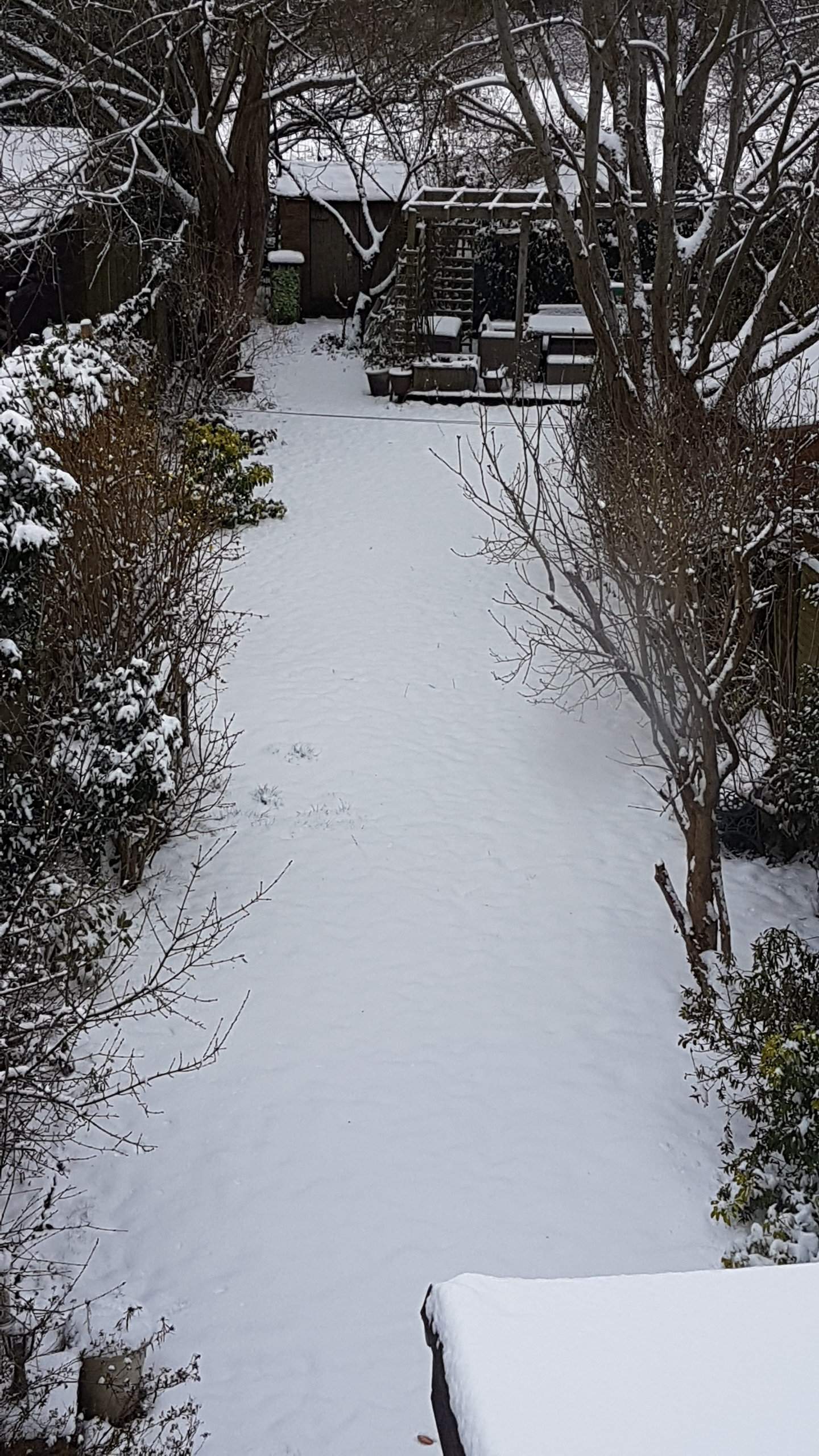 20180318_105820.jpg