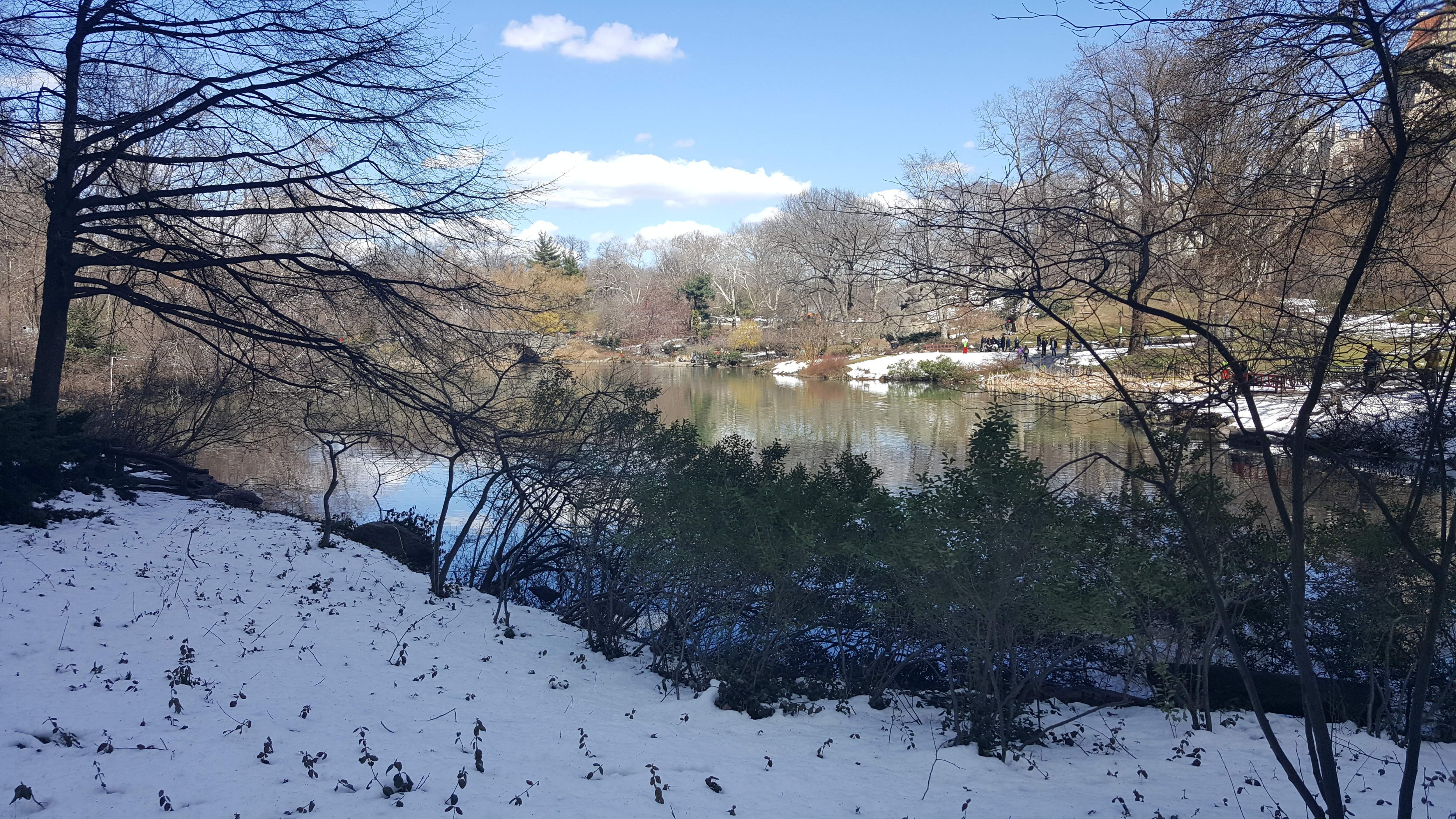 20180323_134029.jpg