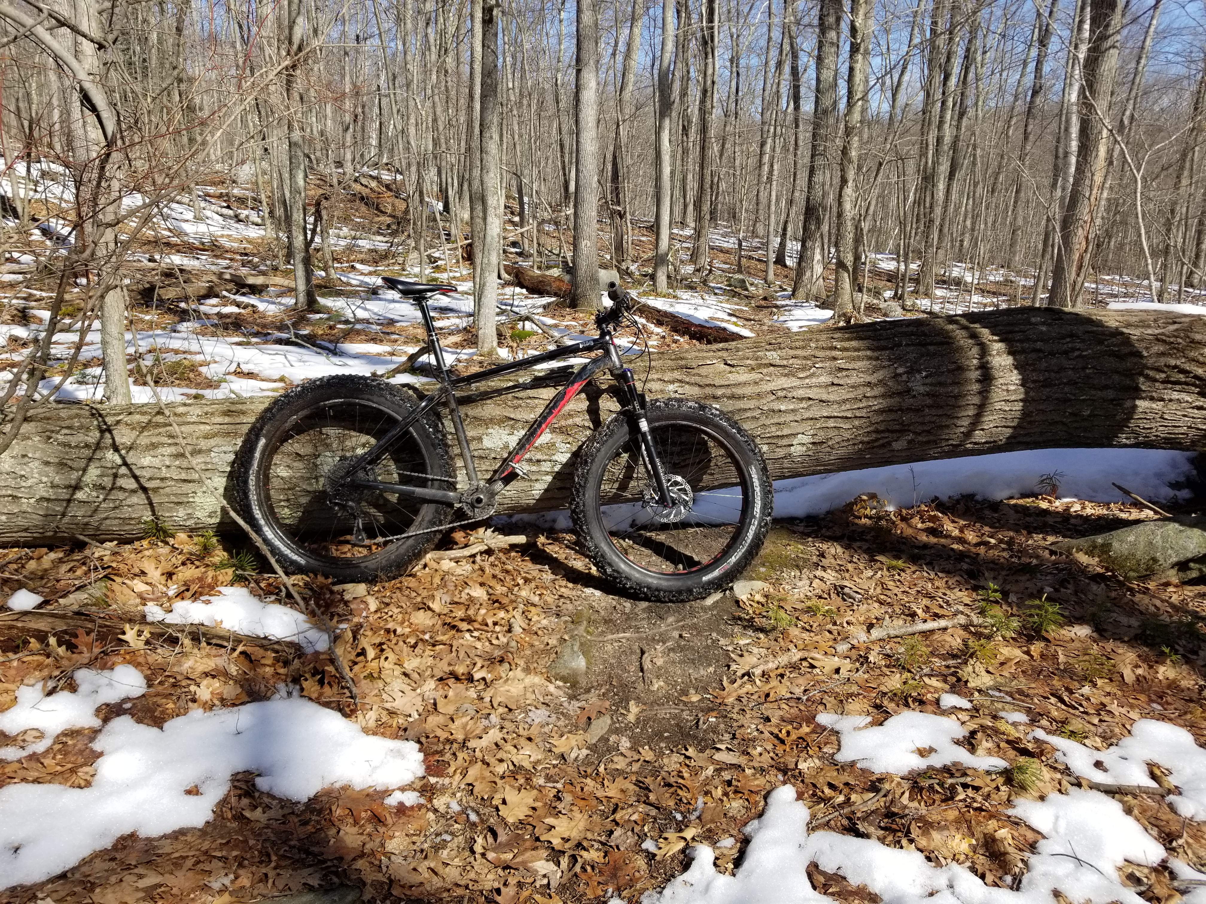 20180324_103247.jpg