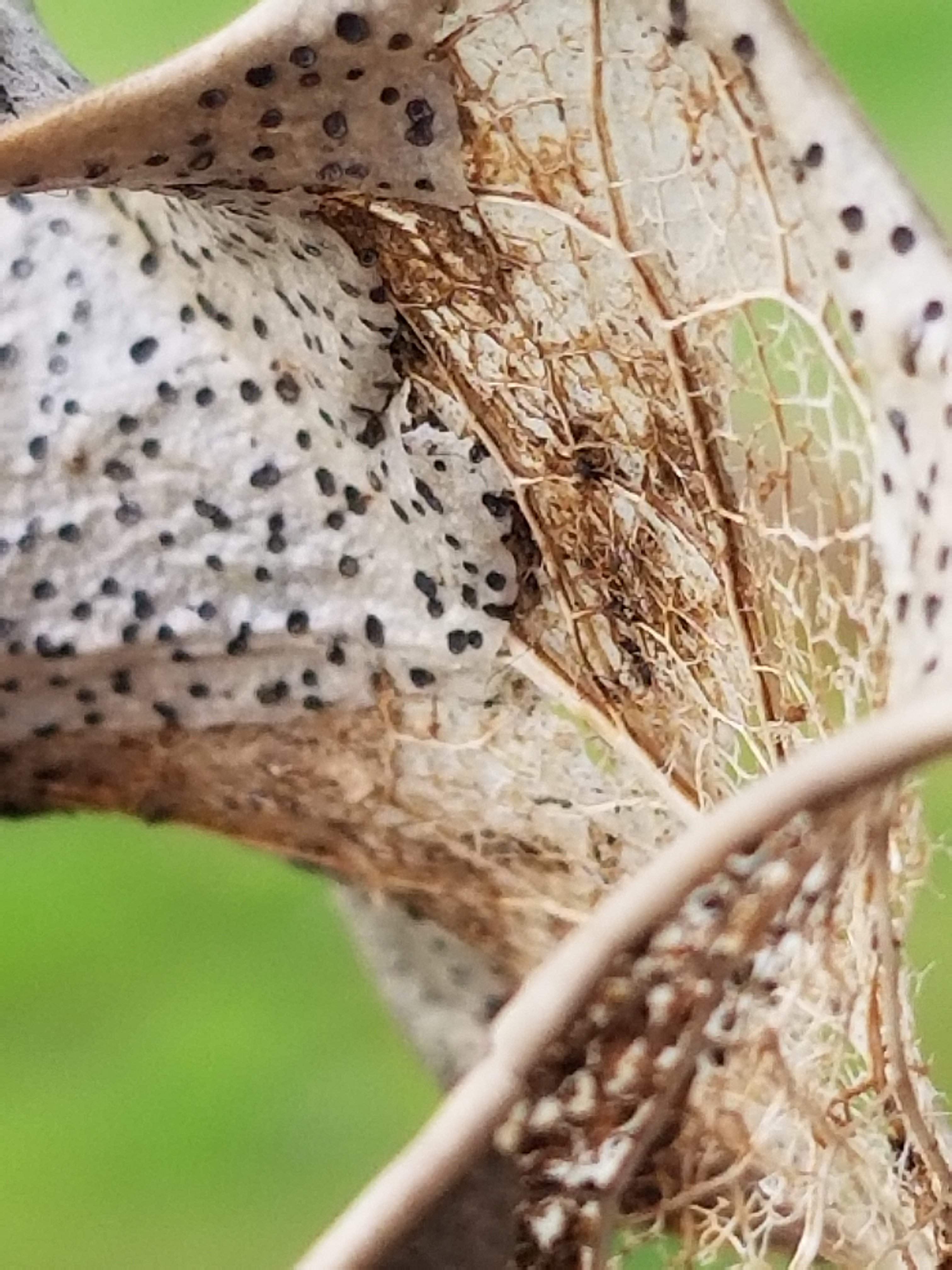 20180325_113115.jpg