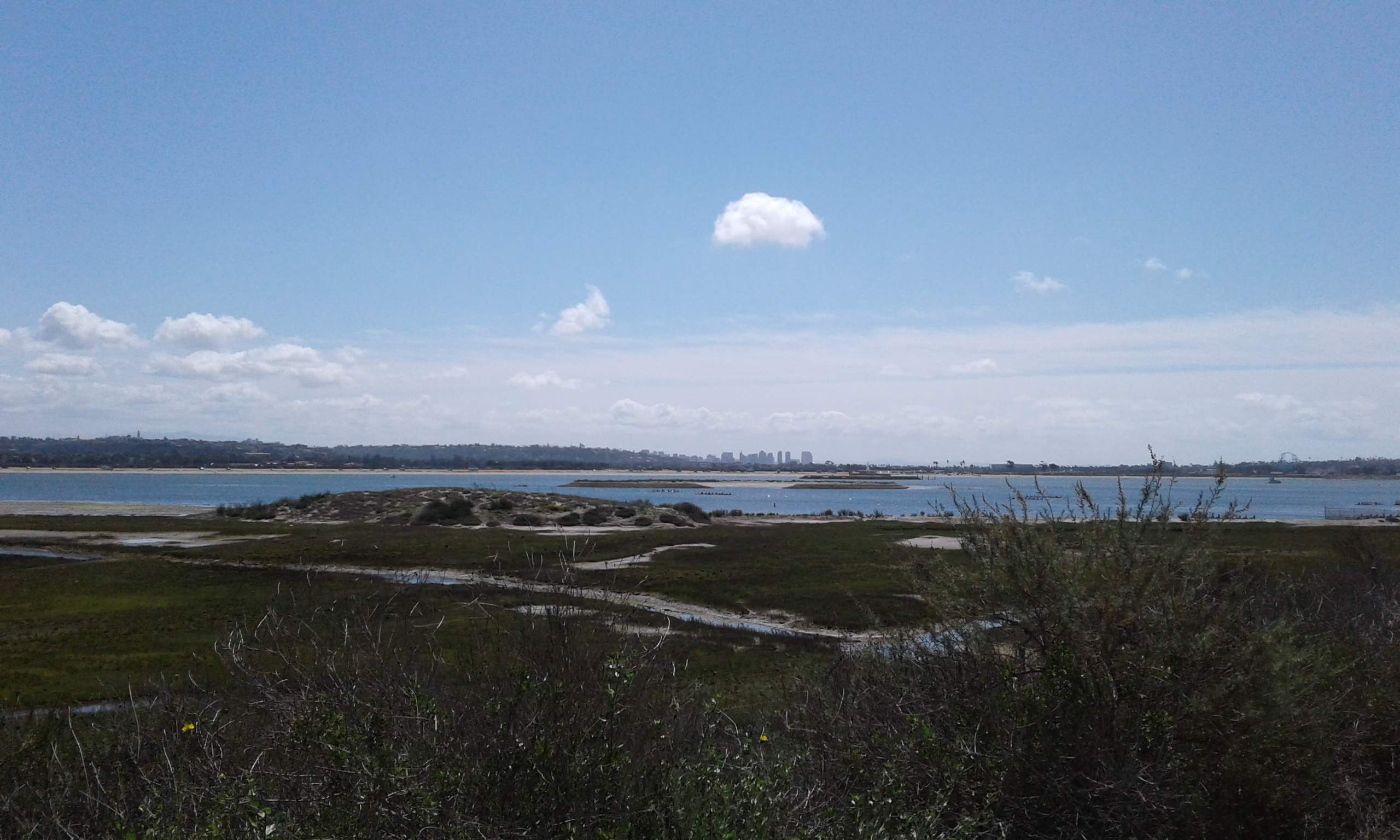 20180325_114430.jpg