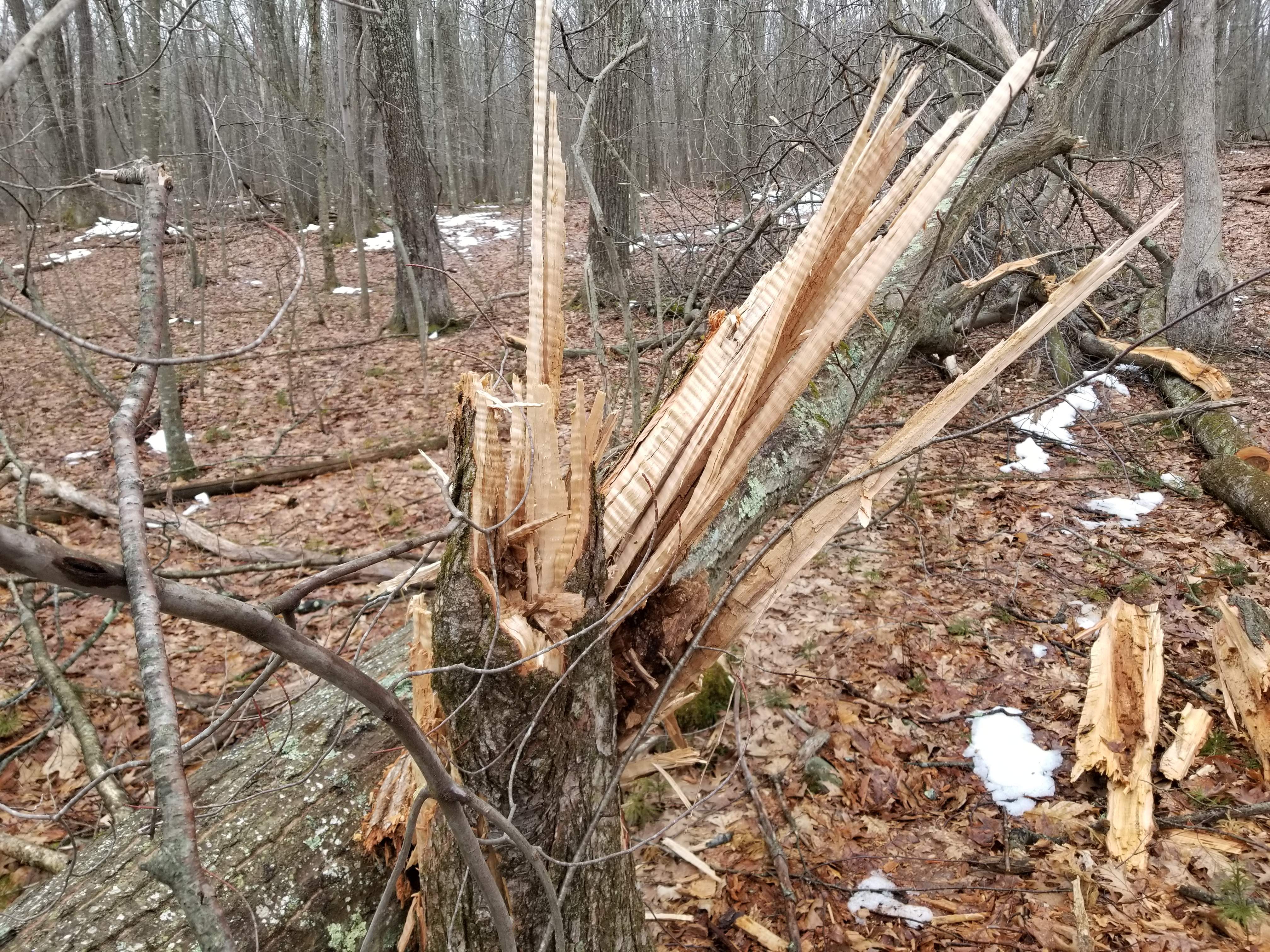 20180328_074743.jpg