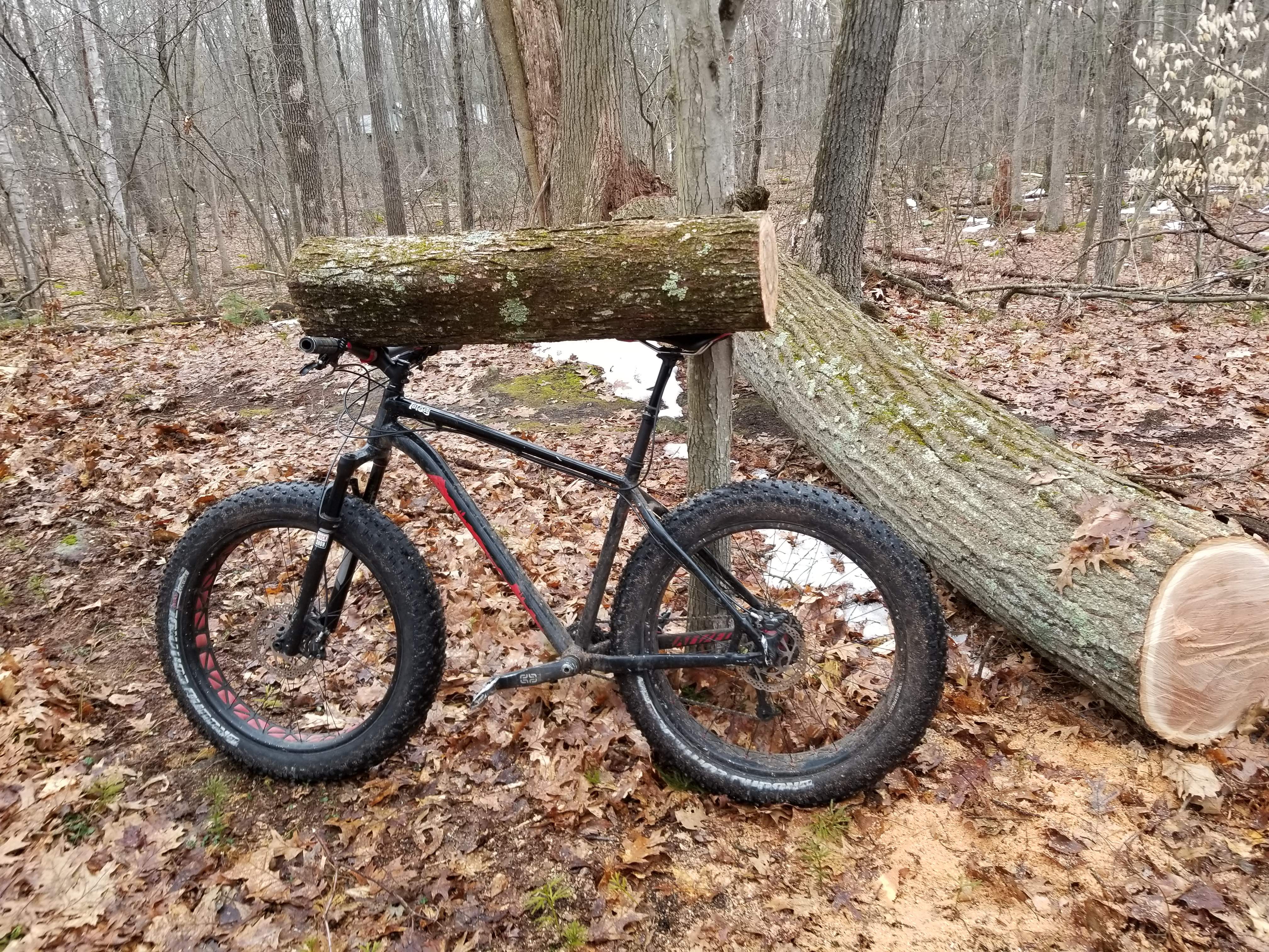 20180328_074748.jpg