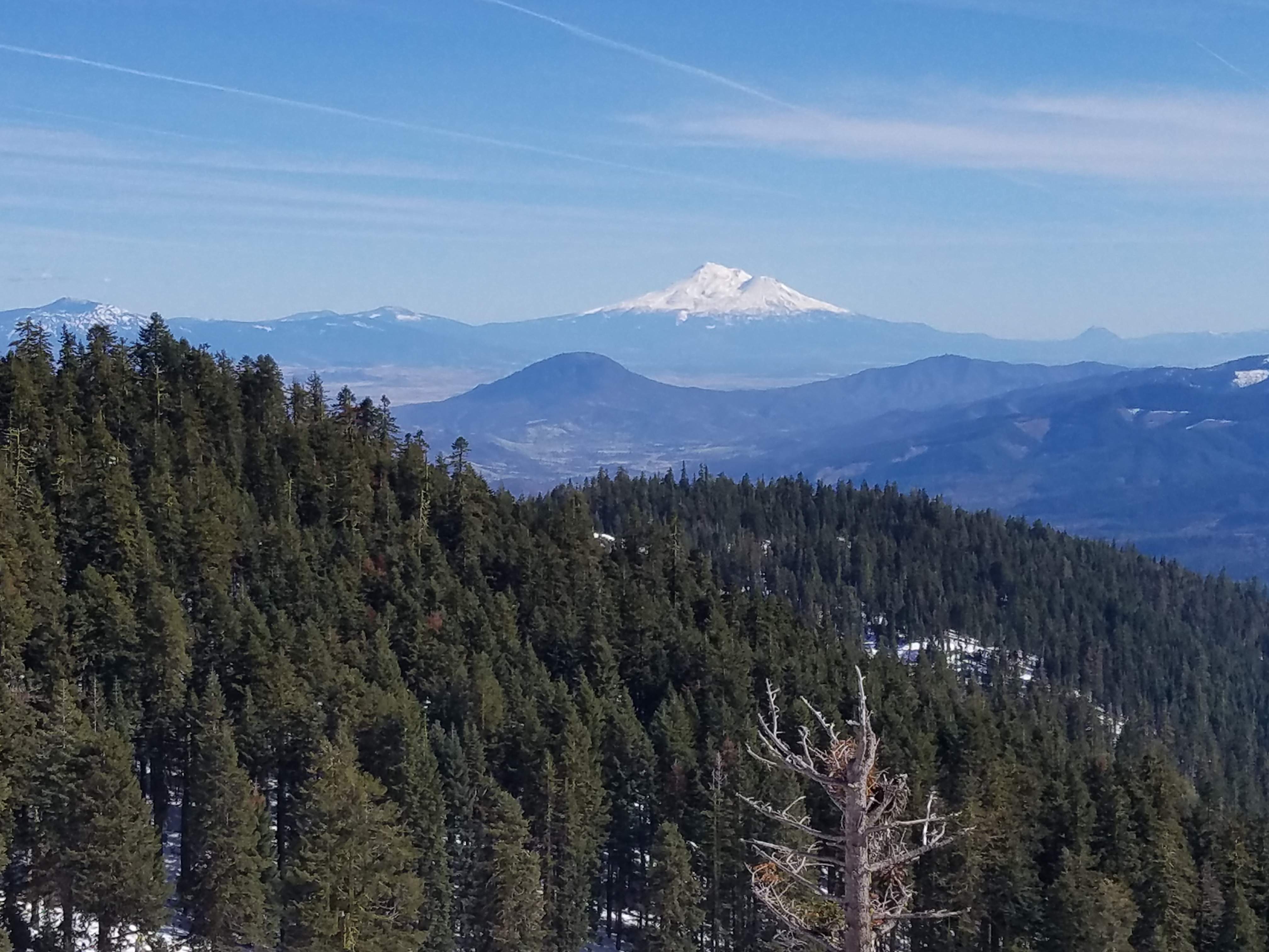 20180328_160514.jpg