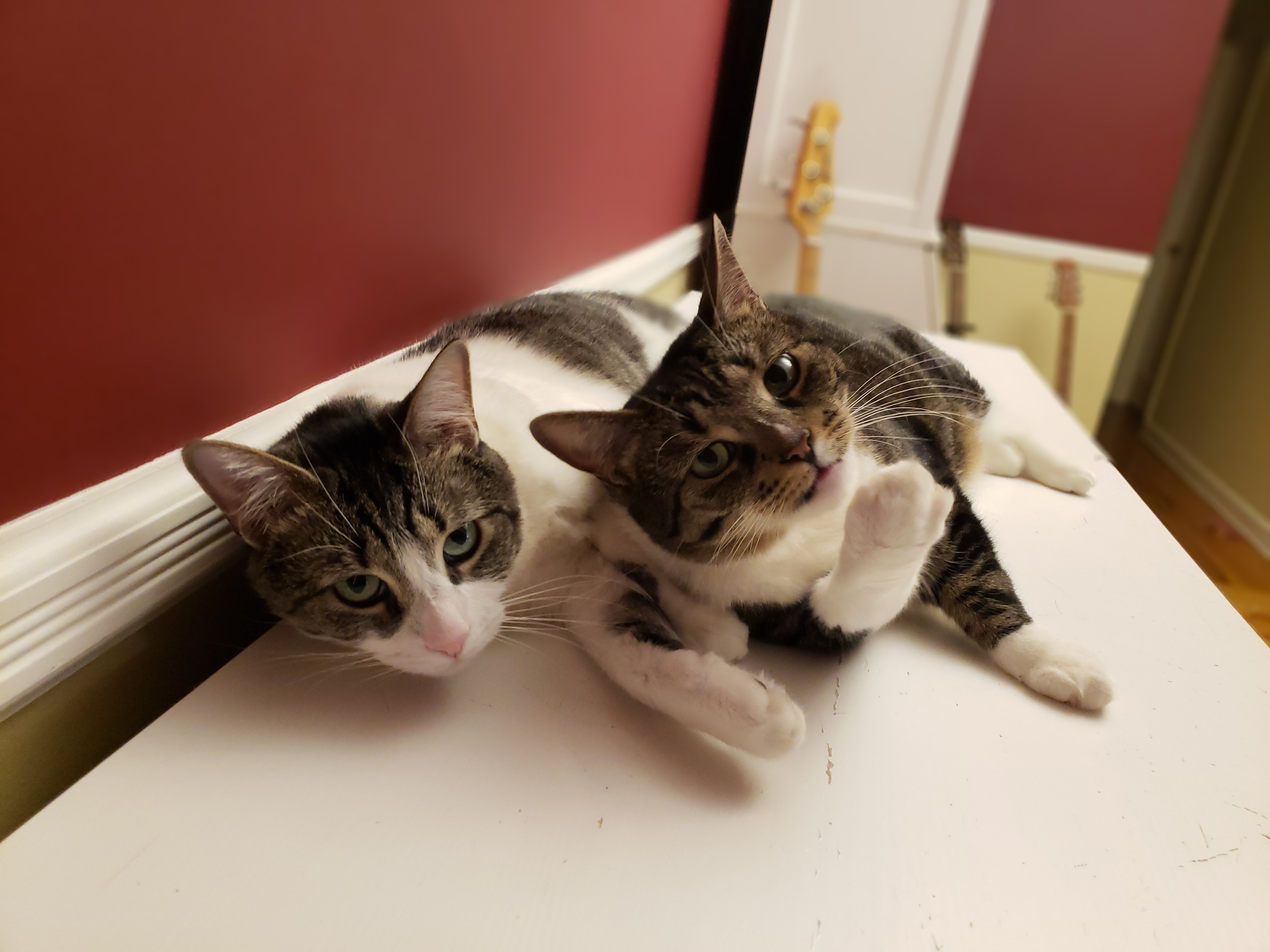 20180419_070219.jpg