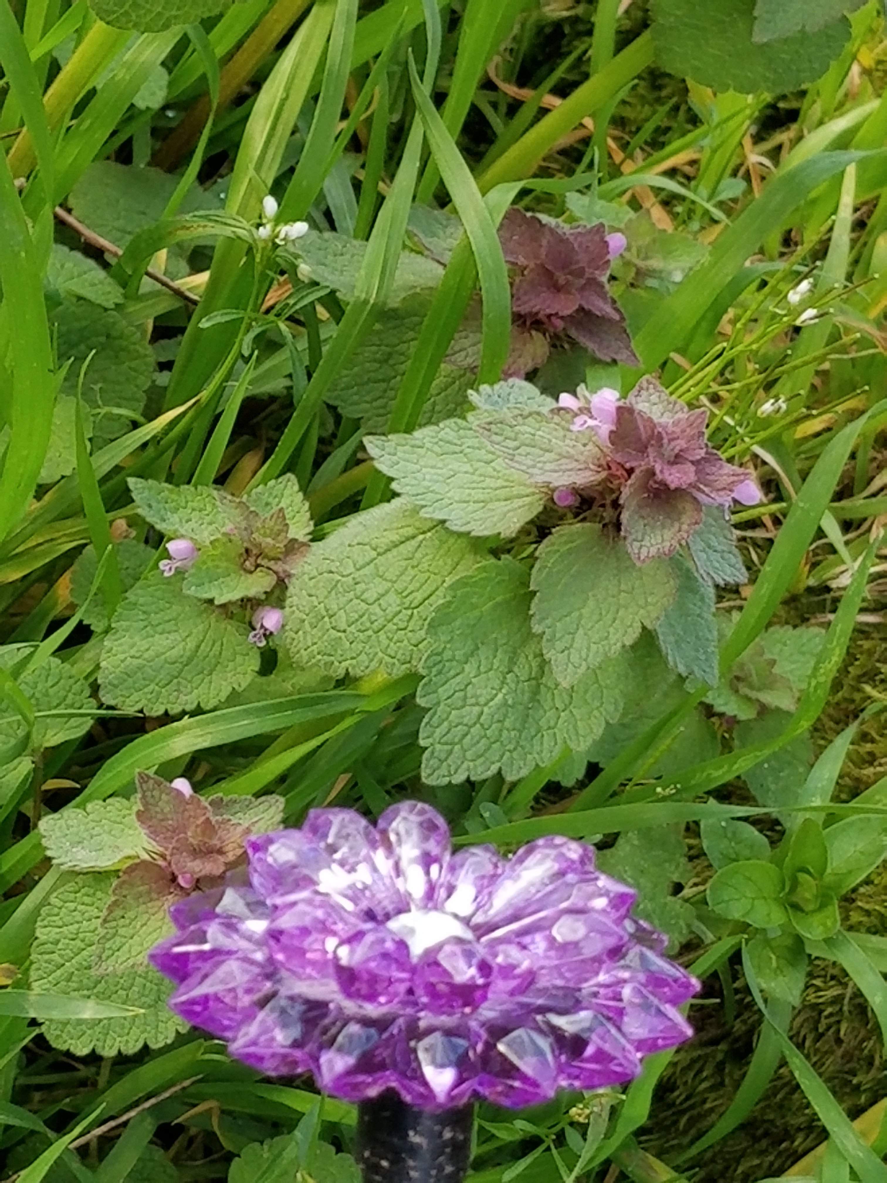 20180421_185747.jpg