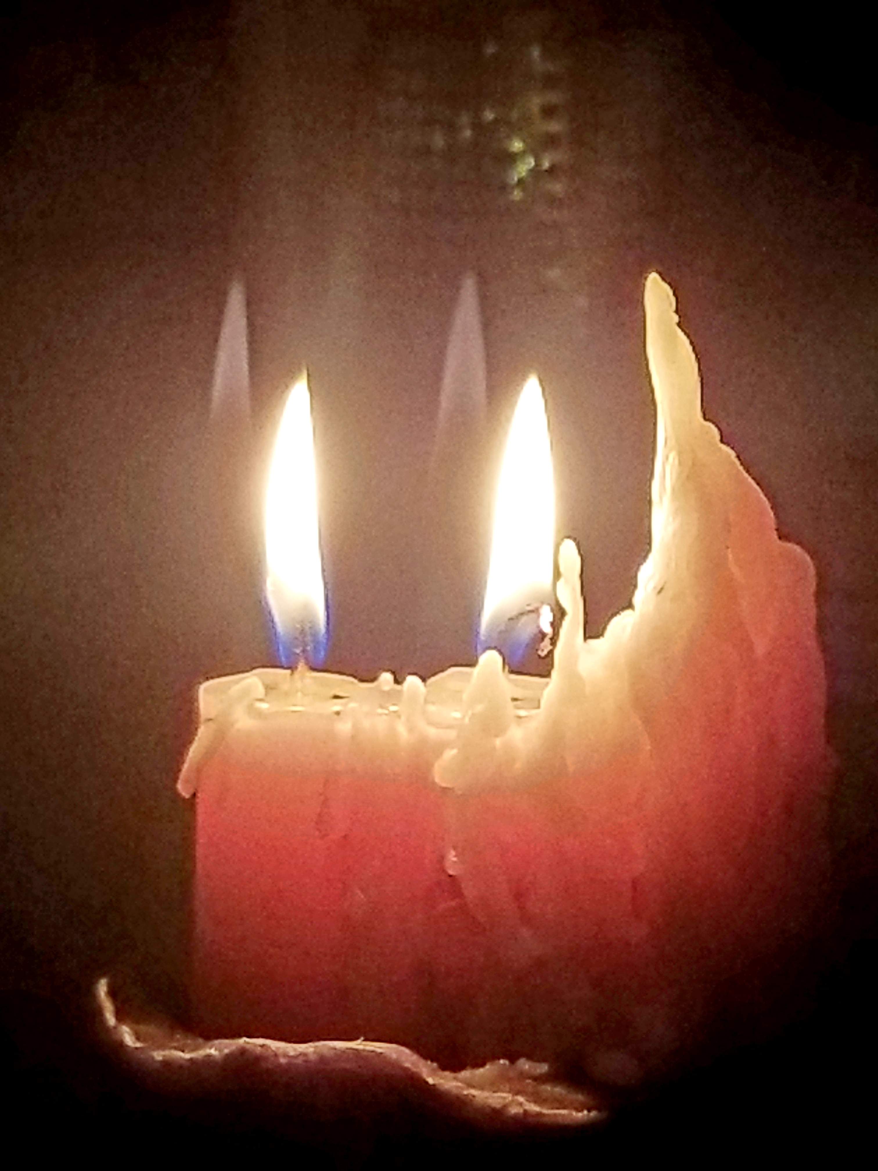 20180423_100347.jpg