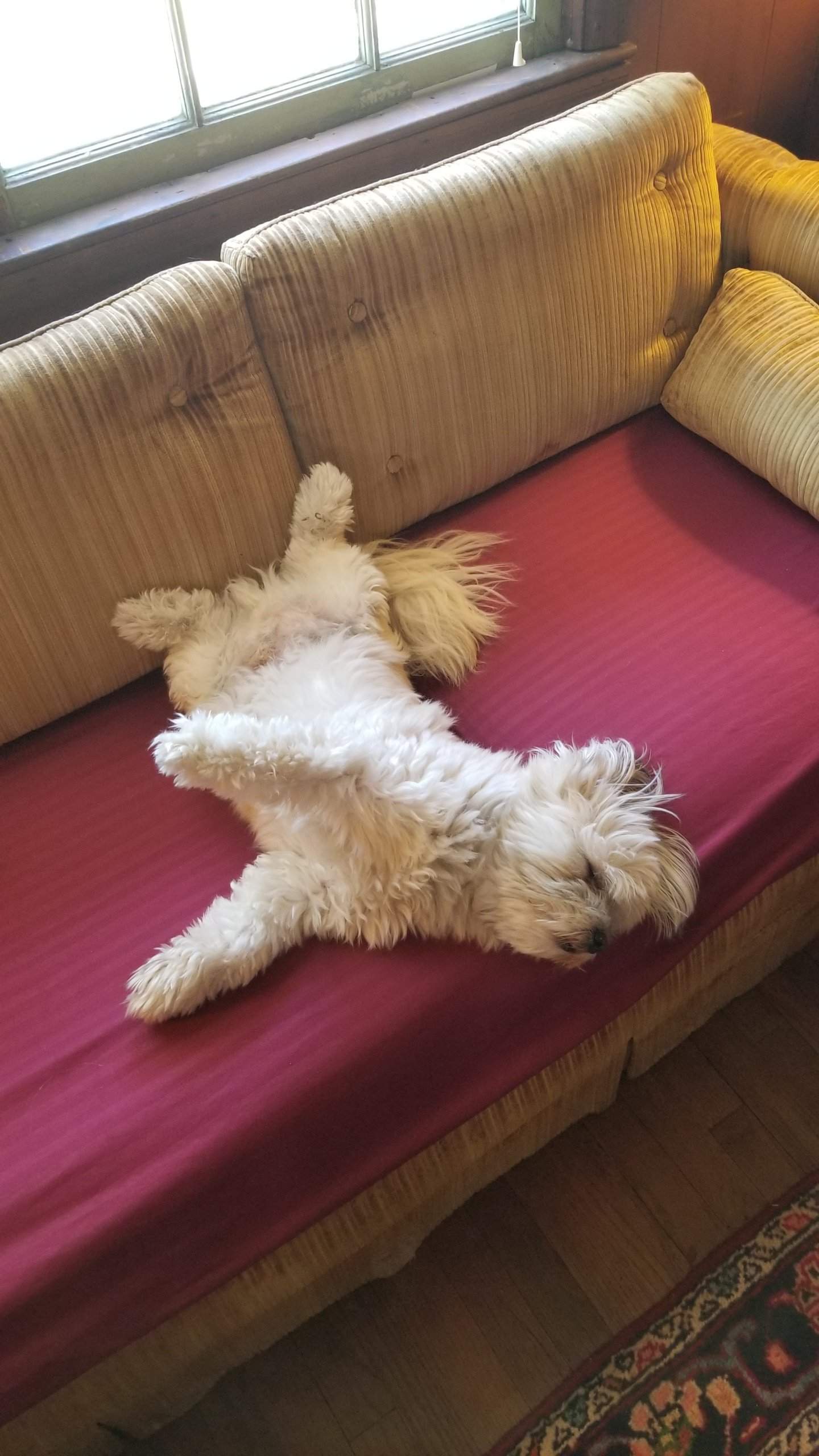 20180428_151228.jpg