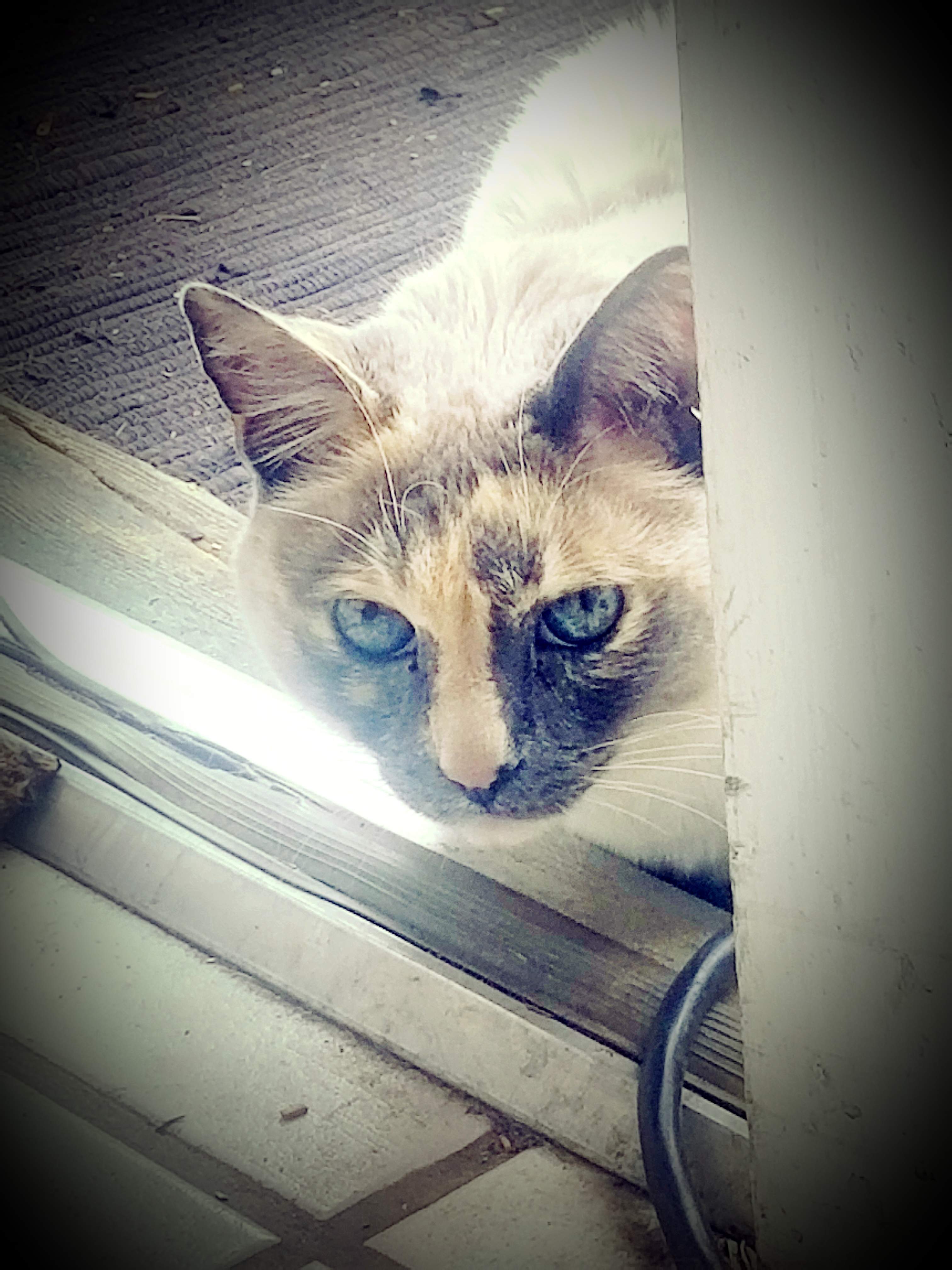 20180430_174534.jpg