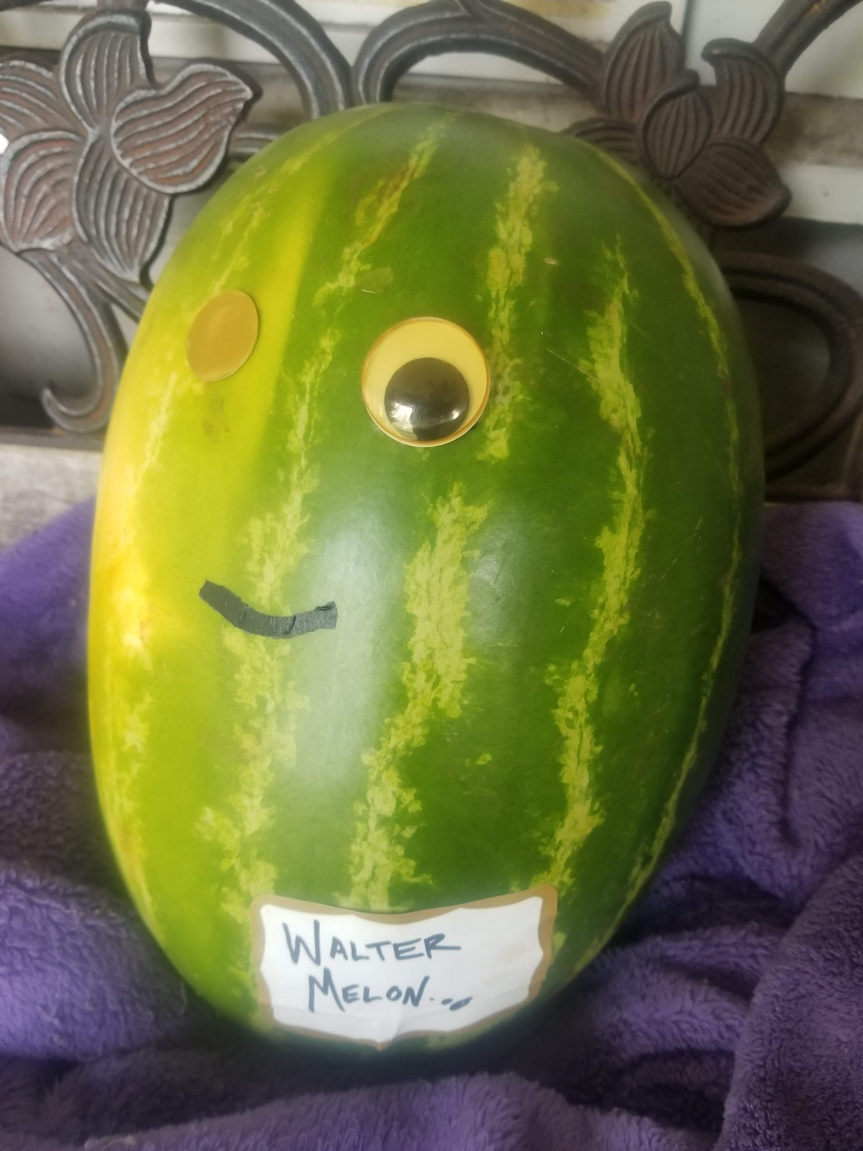 20180430_181458.jpg