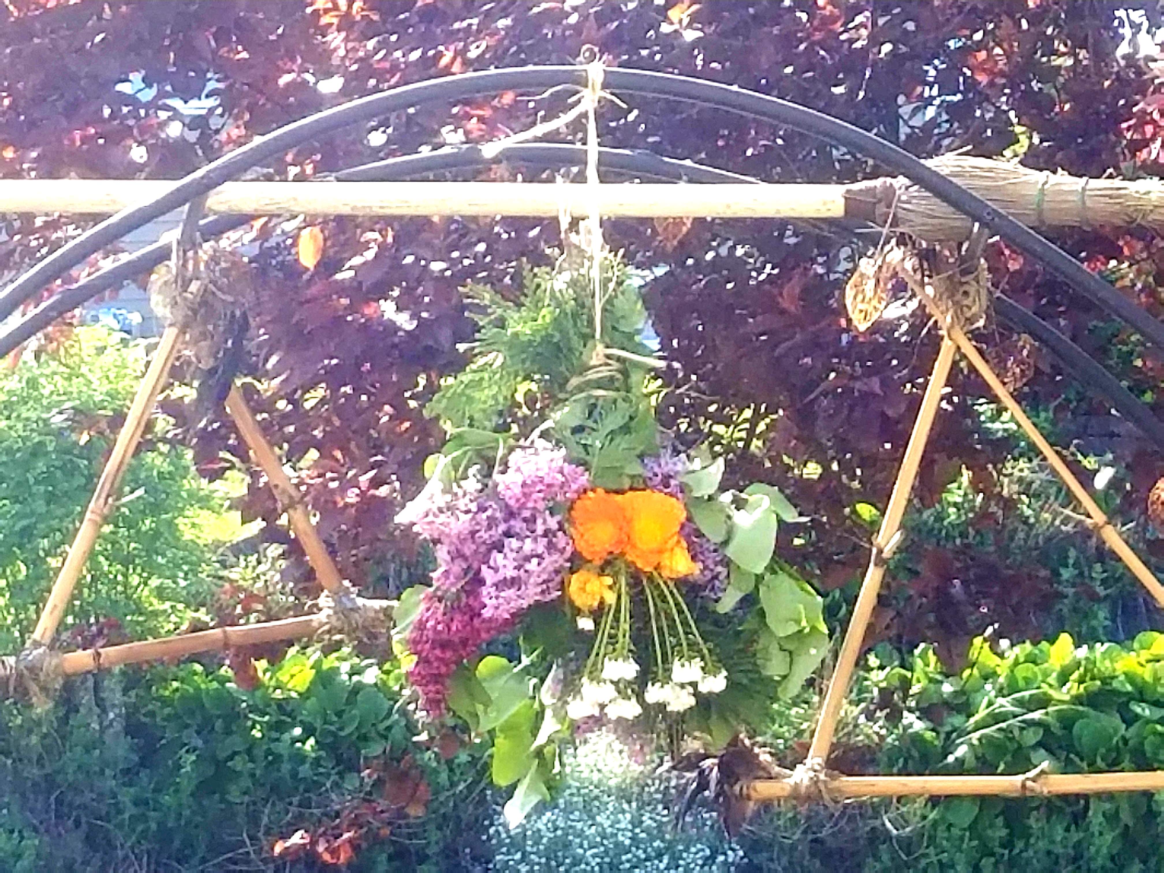 20180503_114253.jpg