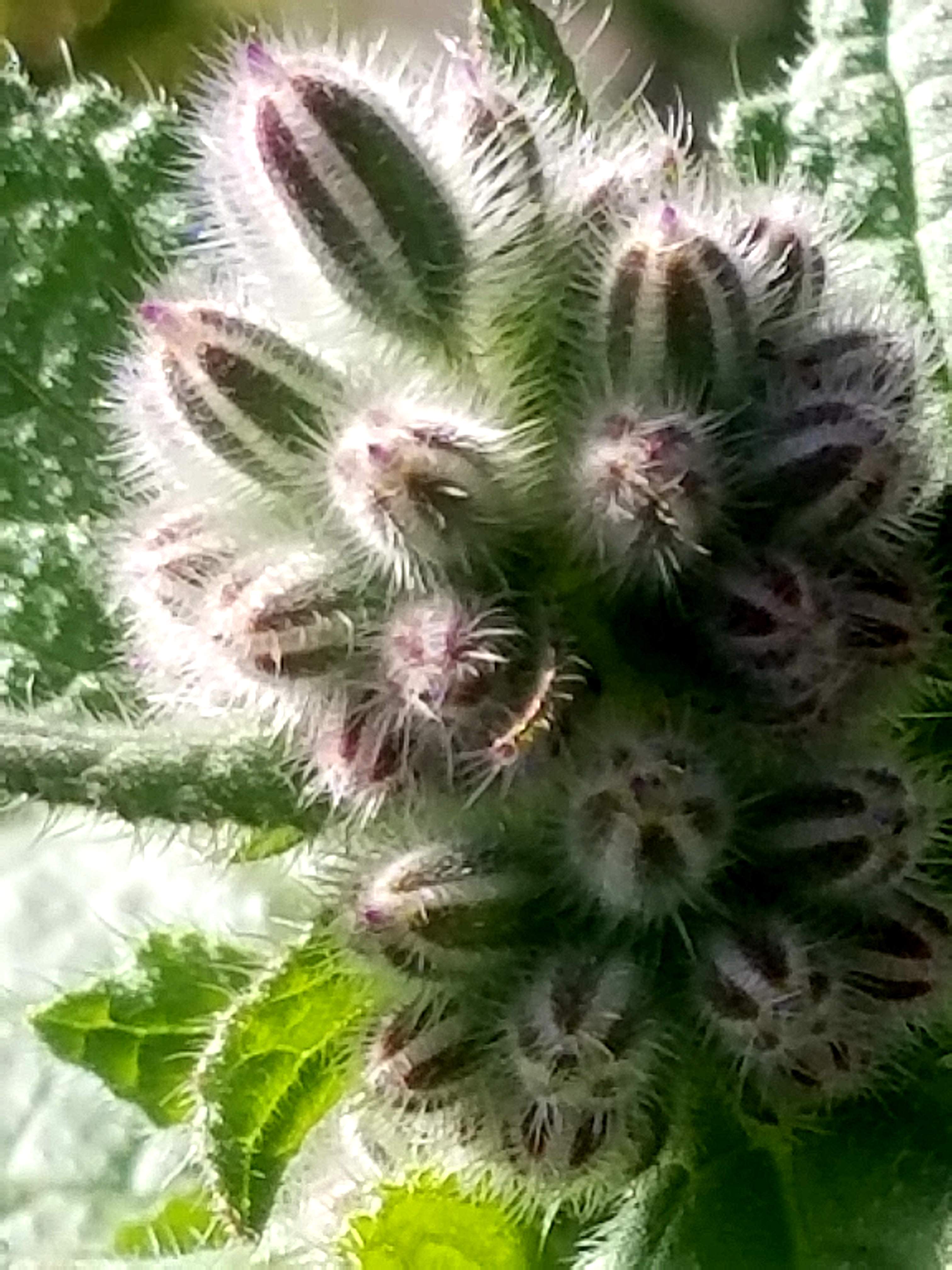 20180503_170737.jpg