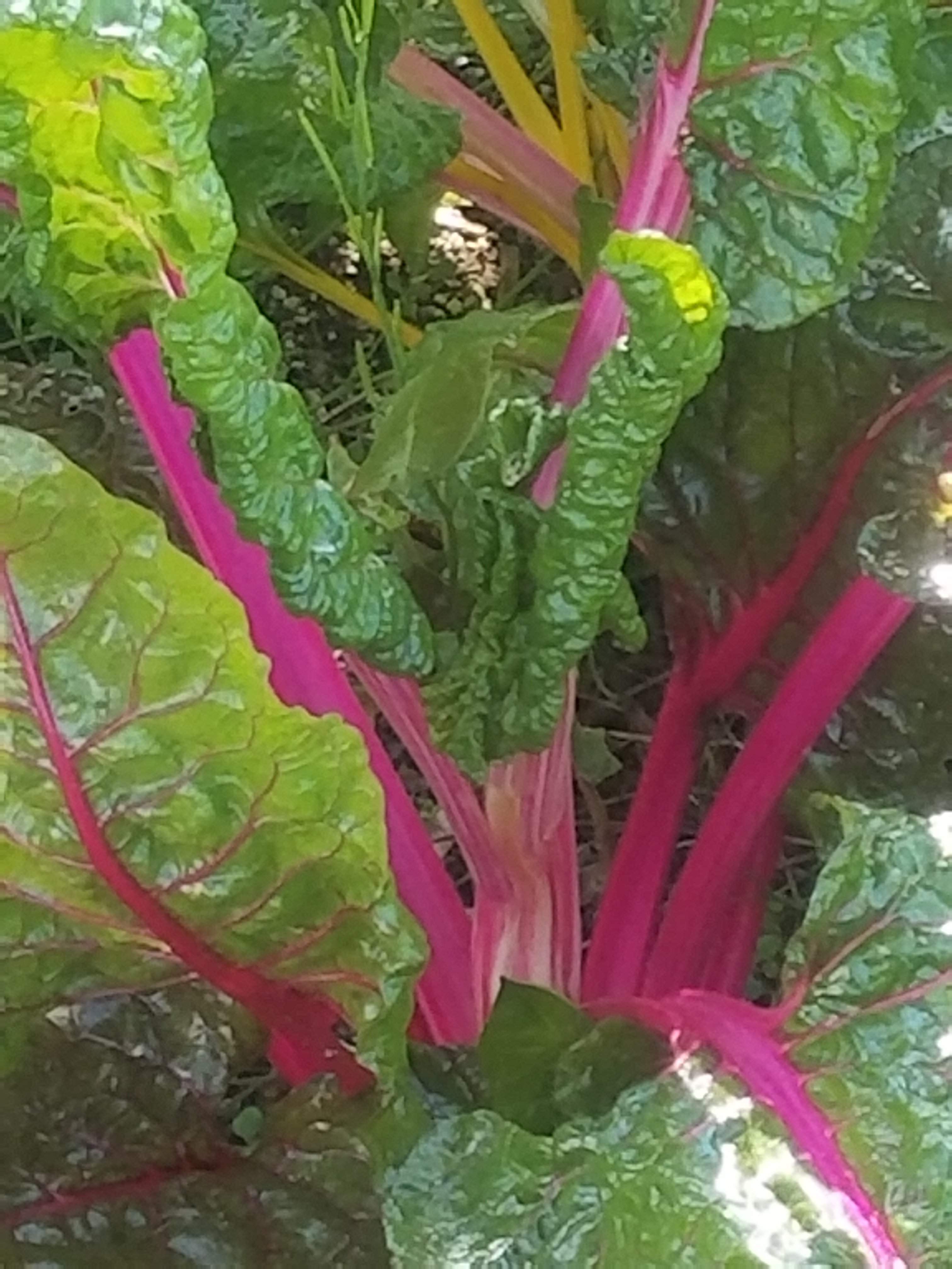 20180503_171144.jpg