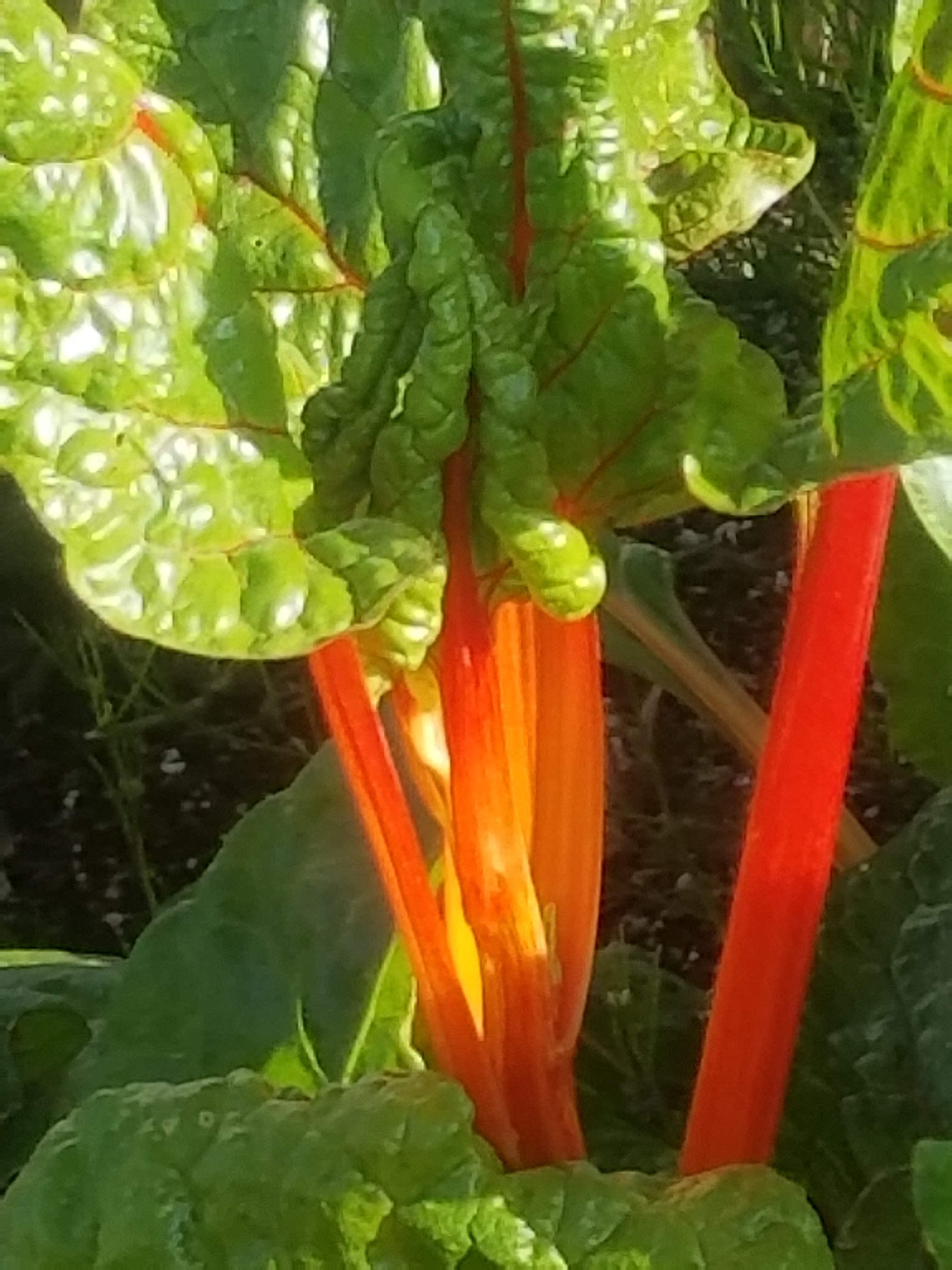 20180503_171255.jpg