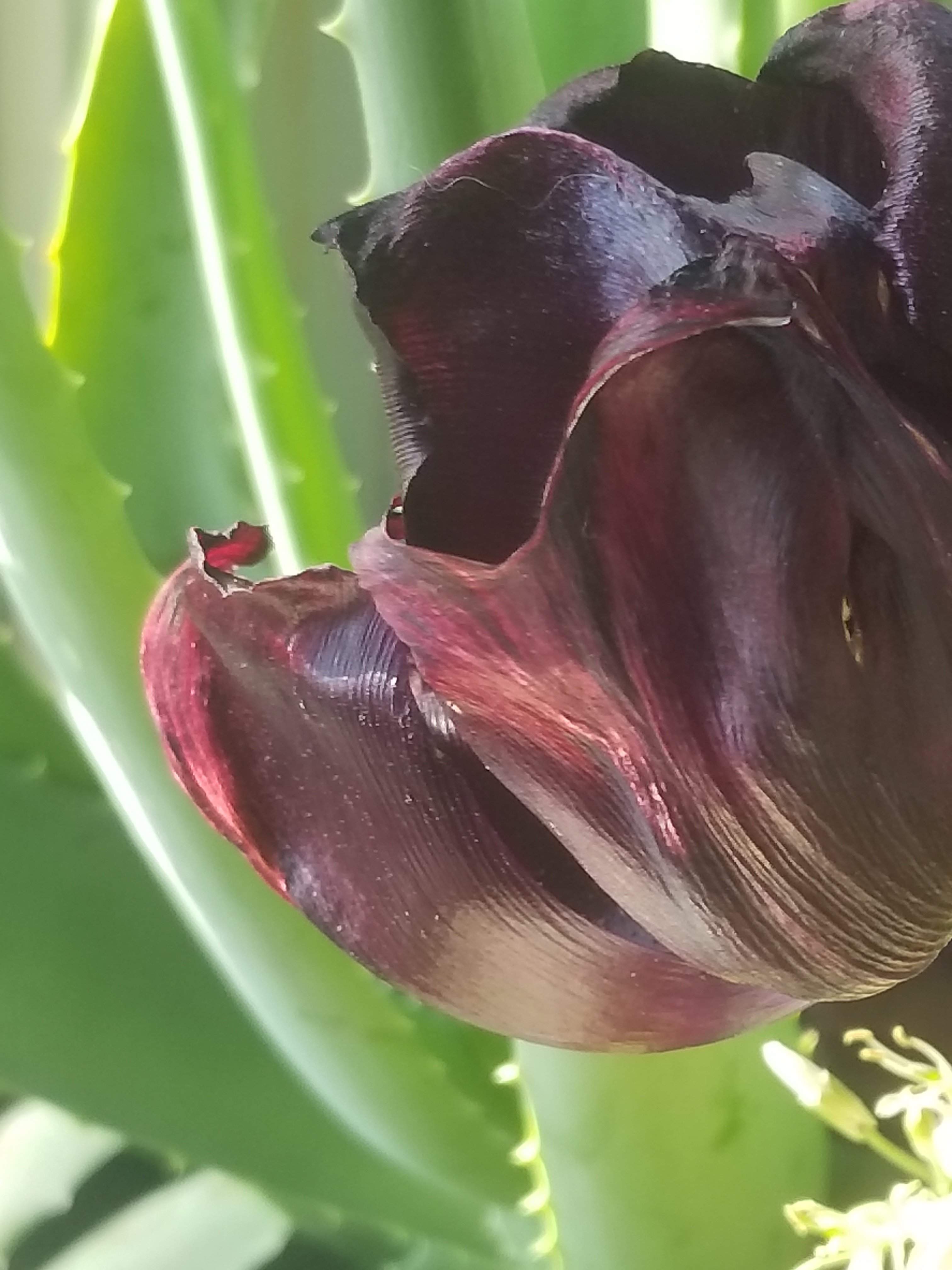 20180503_171922.jpg