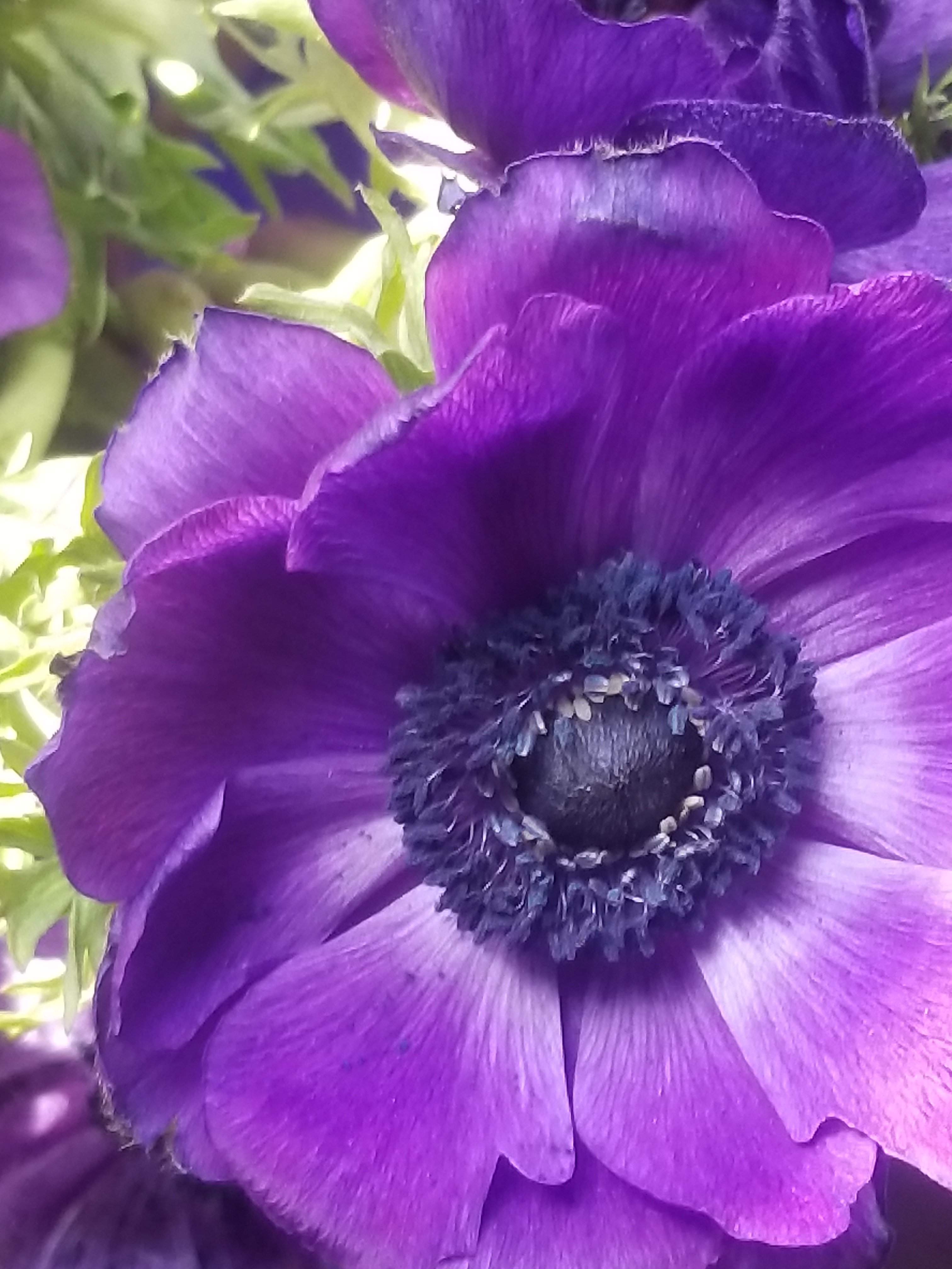 20180503_171950.jpg