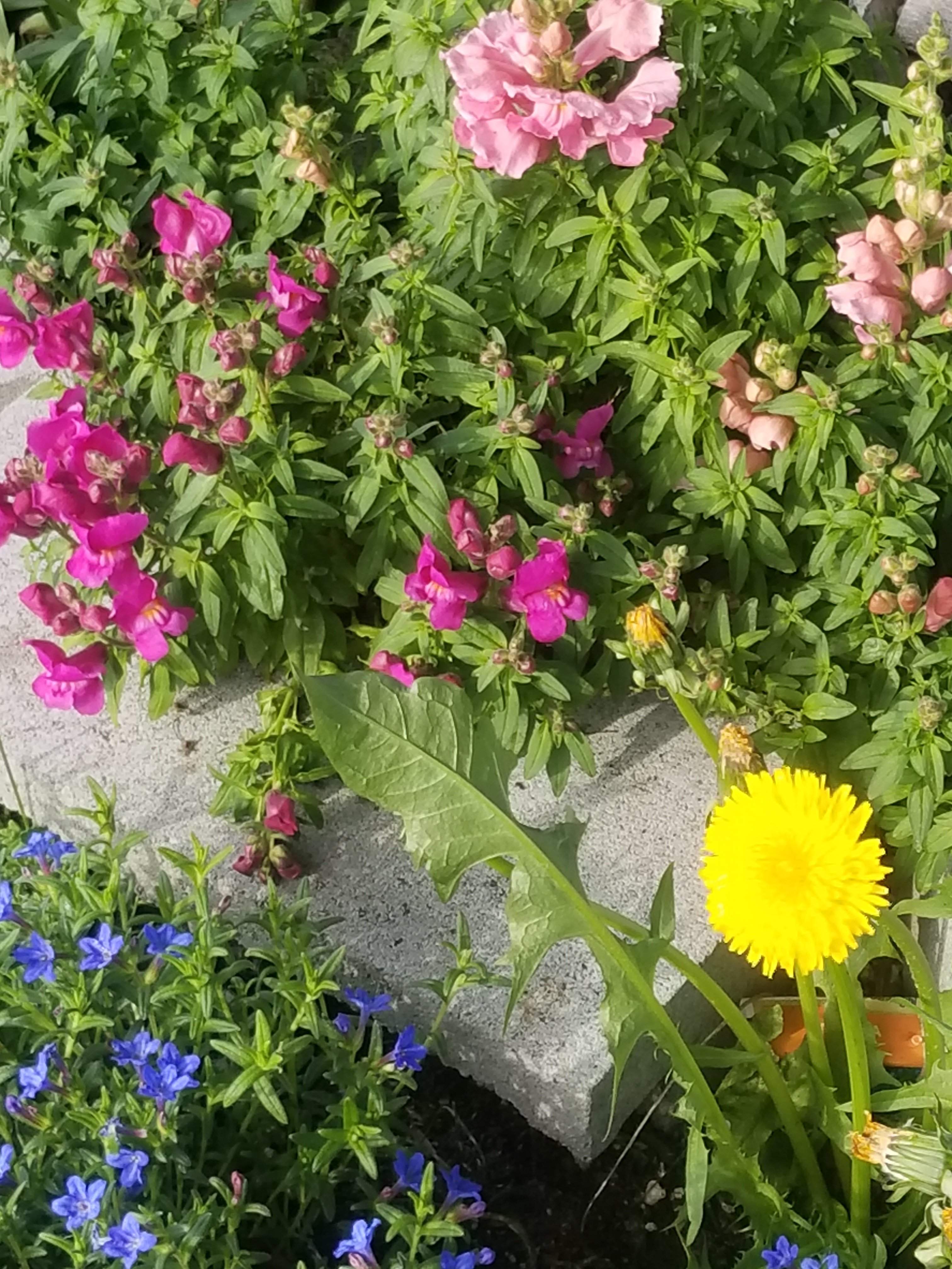 20180503_174320.jpg