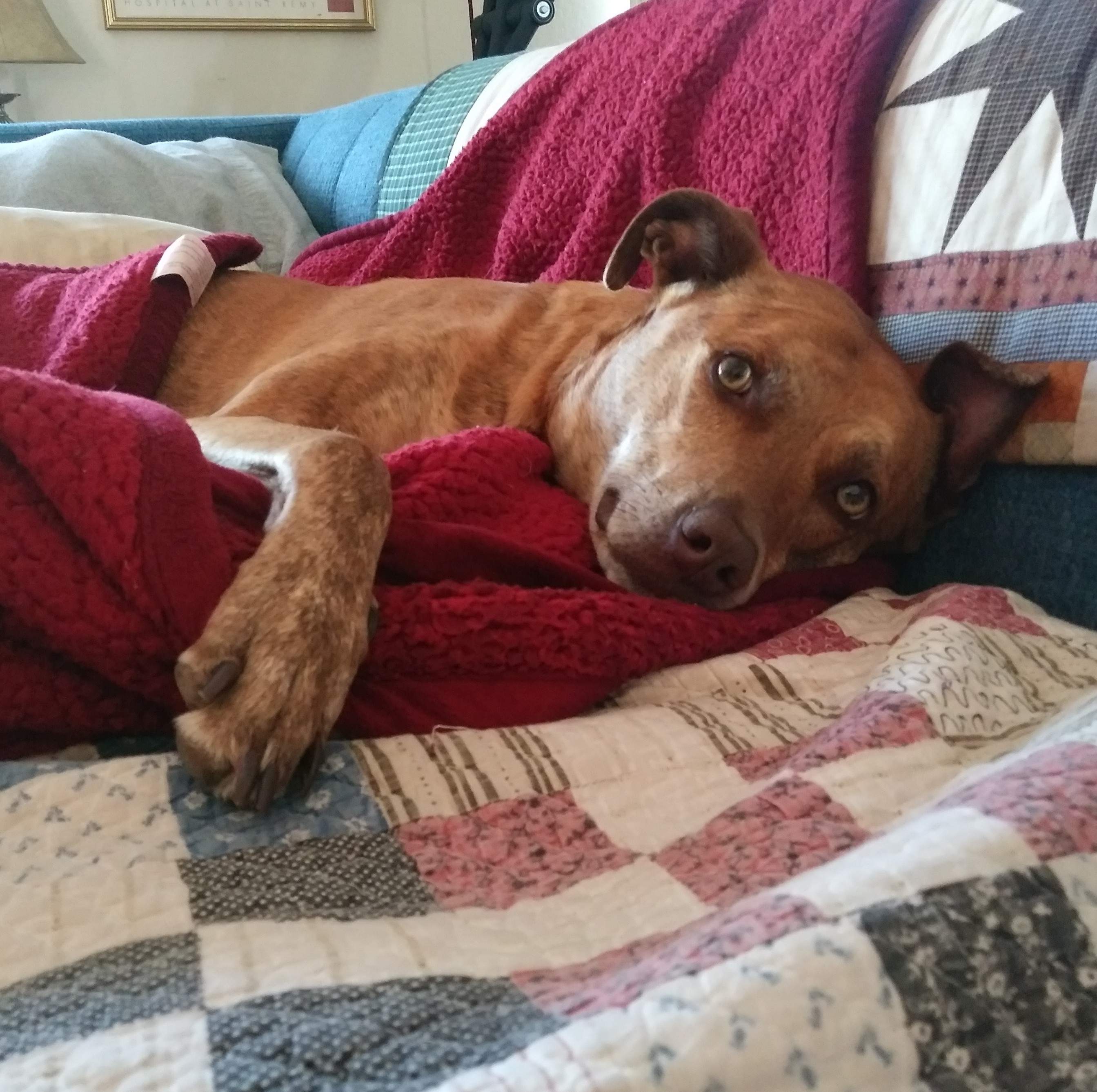 20180504_081358~2.jpg