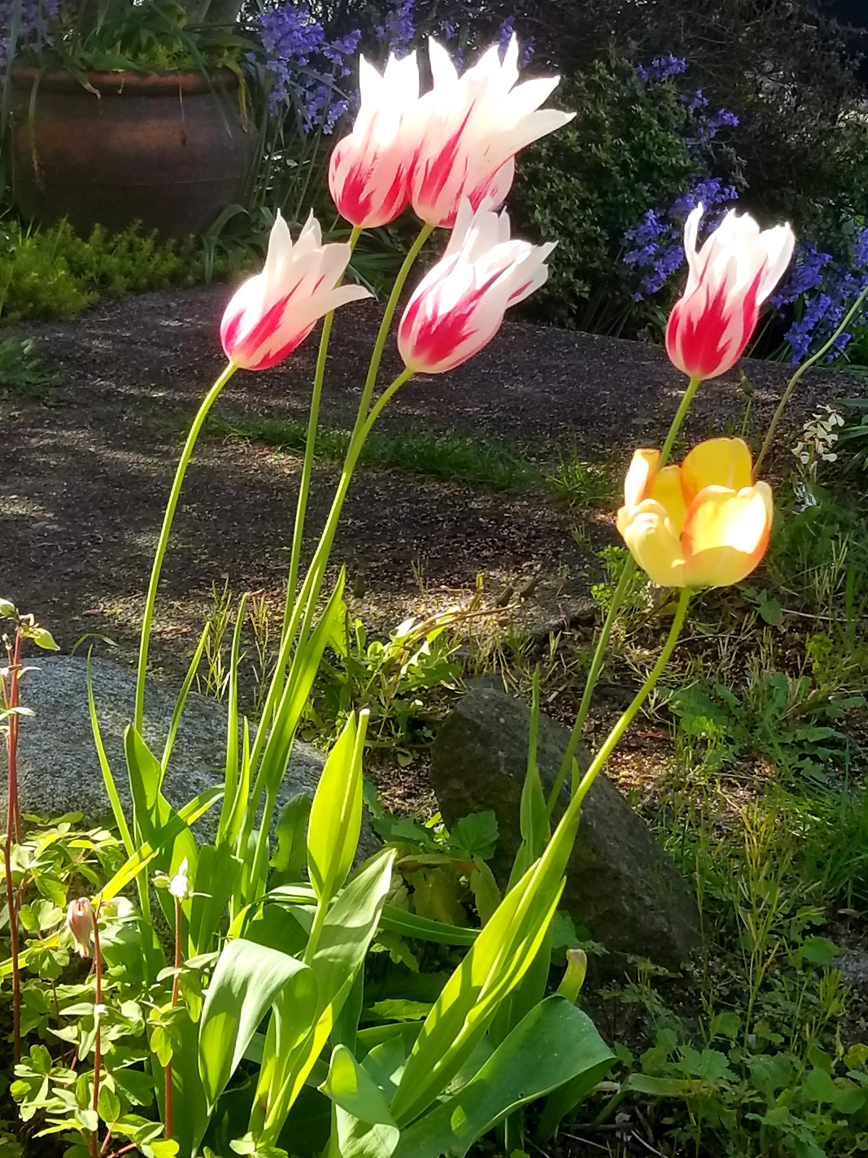 20180505_001154.jpg