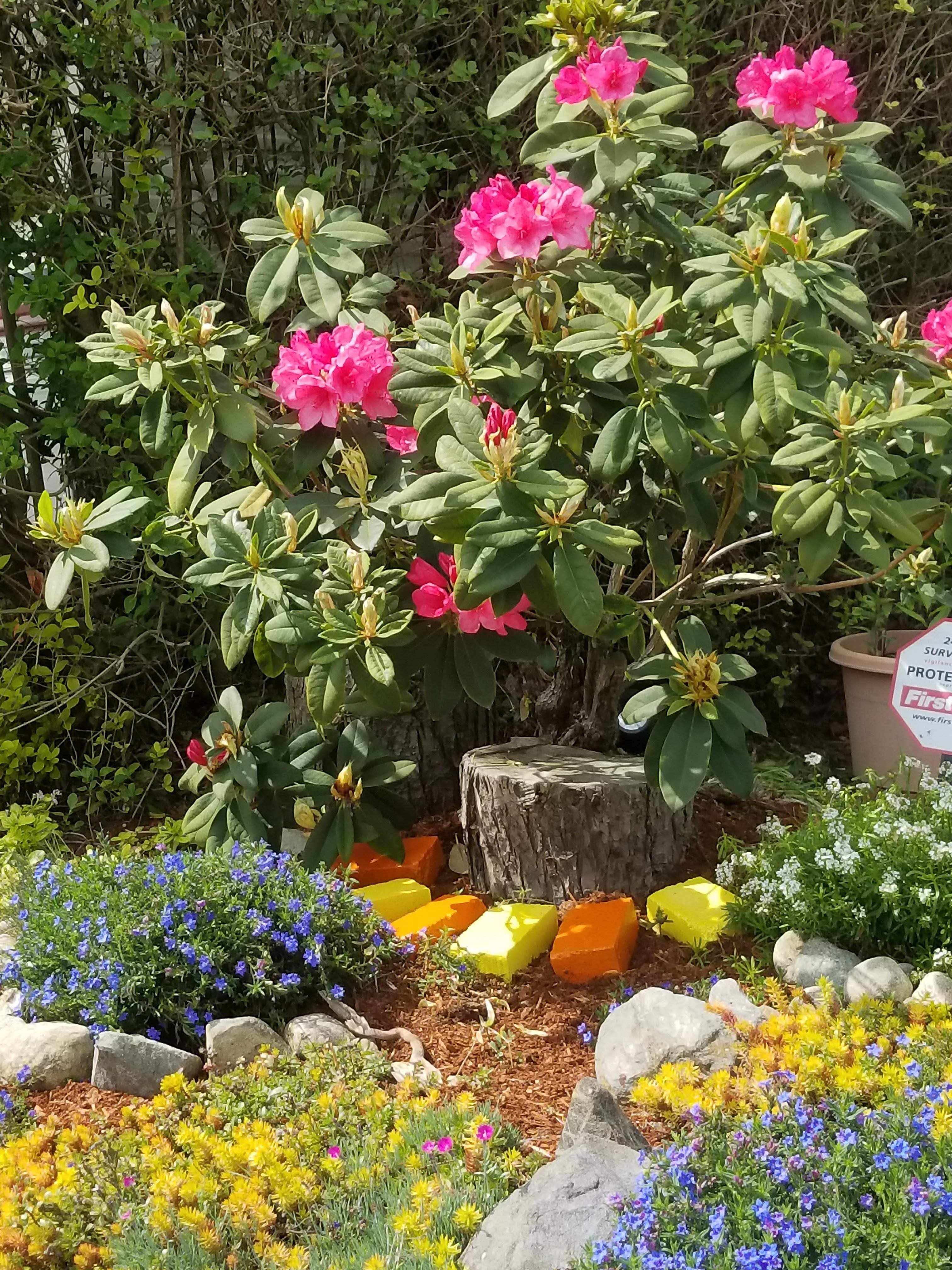 20180505_141850.jpg