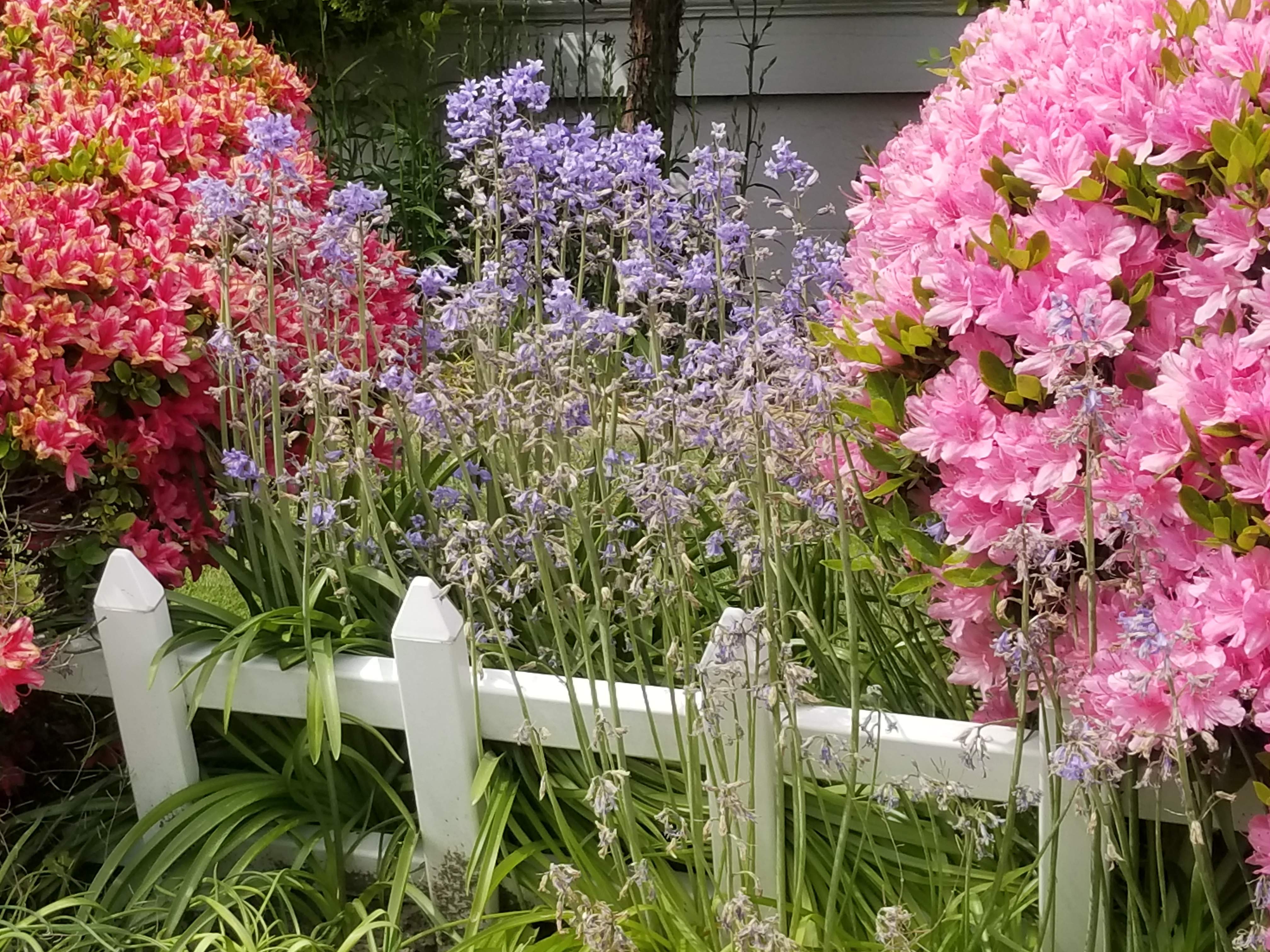 20180505_150802.jpg