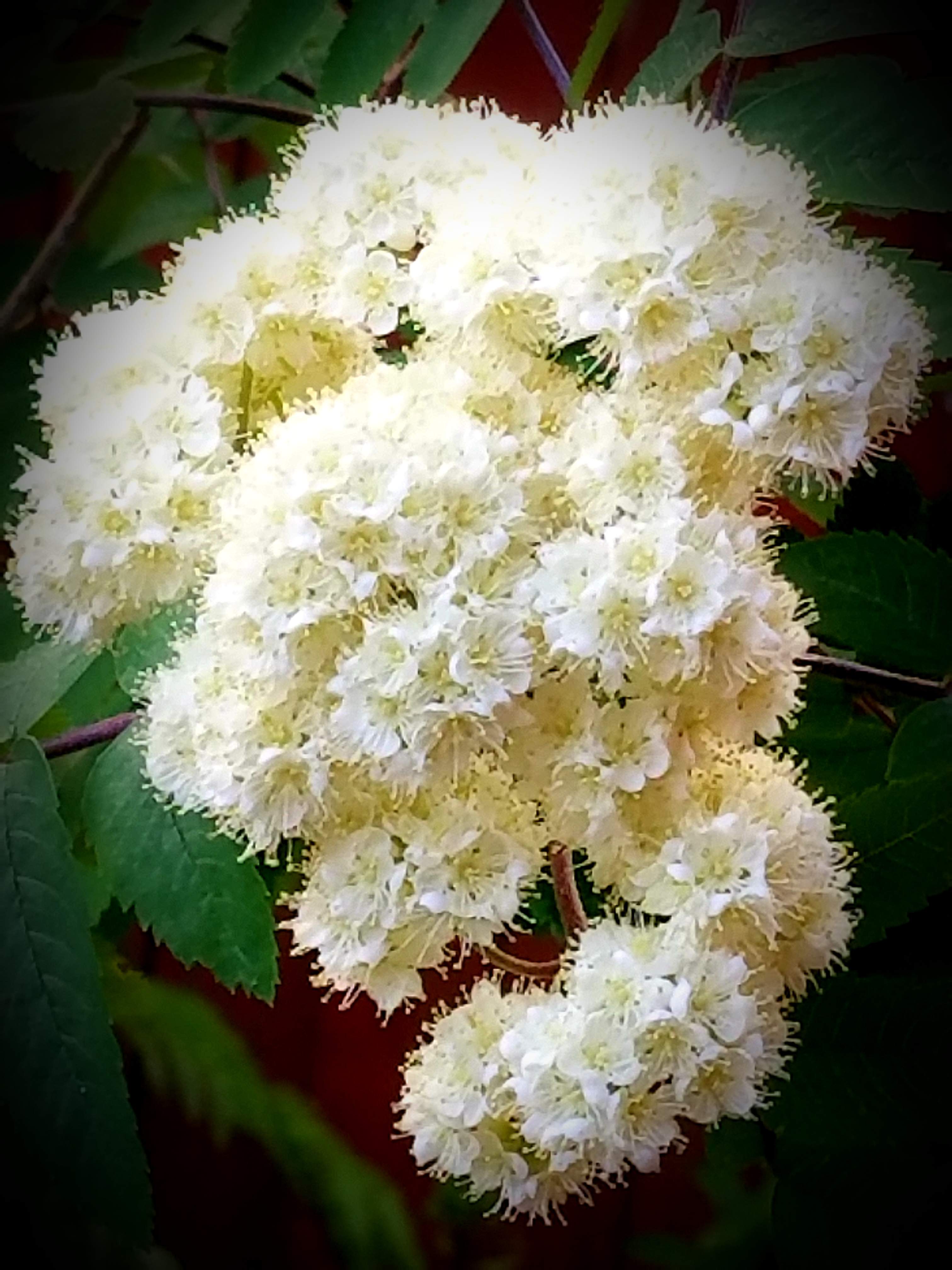 20180505_194644.jpg