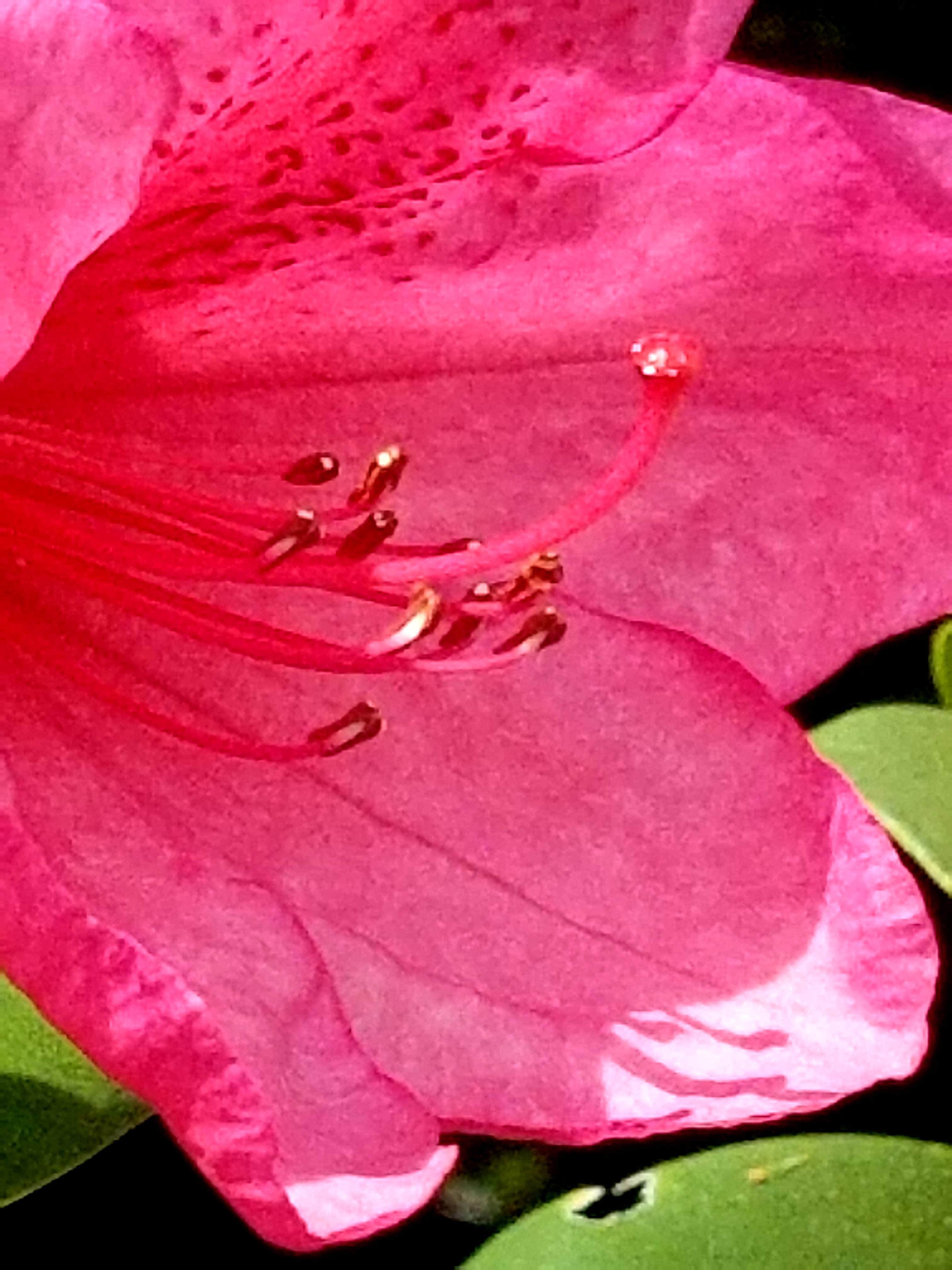 20180506_094428.jpg