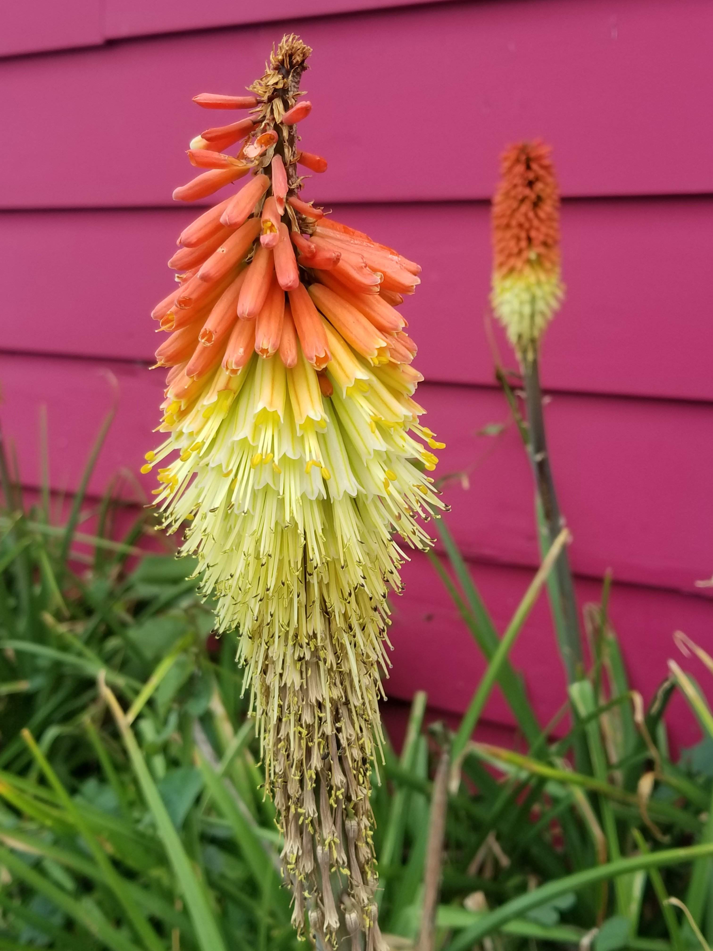 20180510_104629.jpg