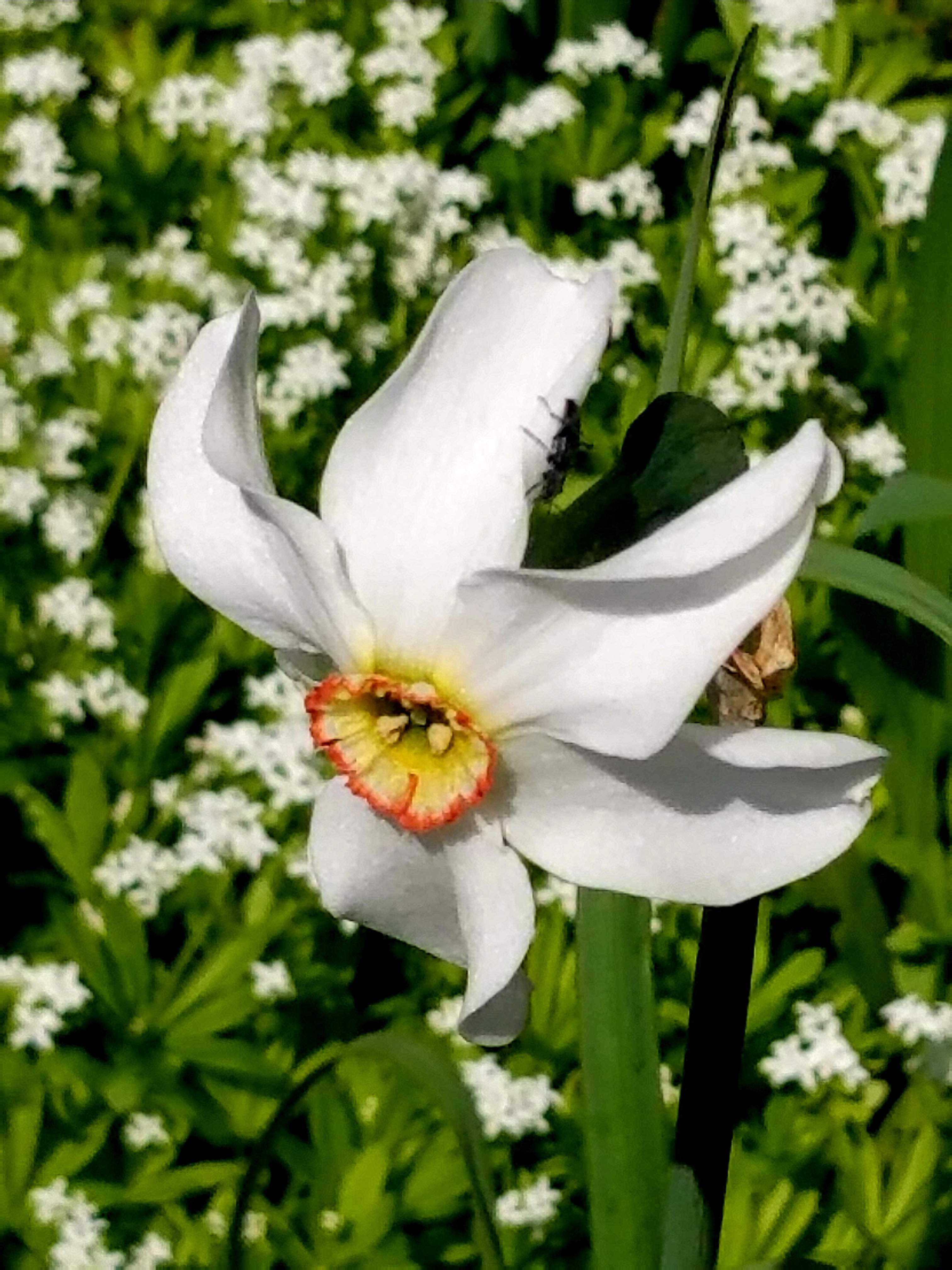 20180510_105117.jpg