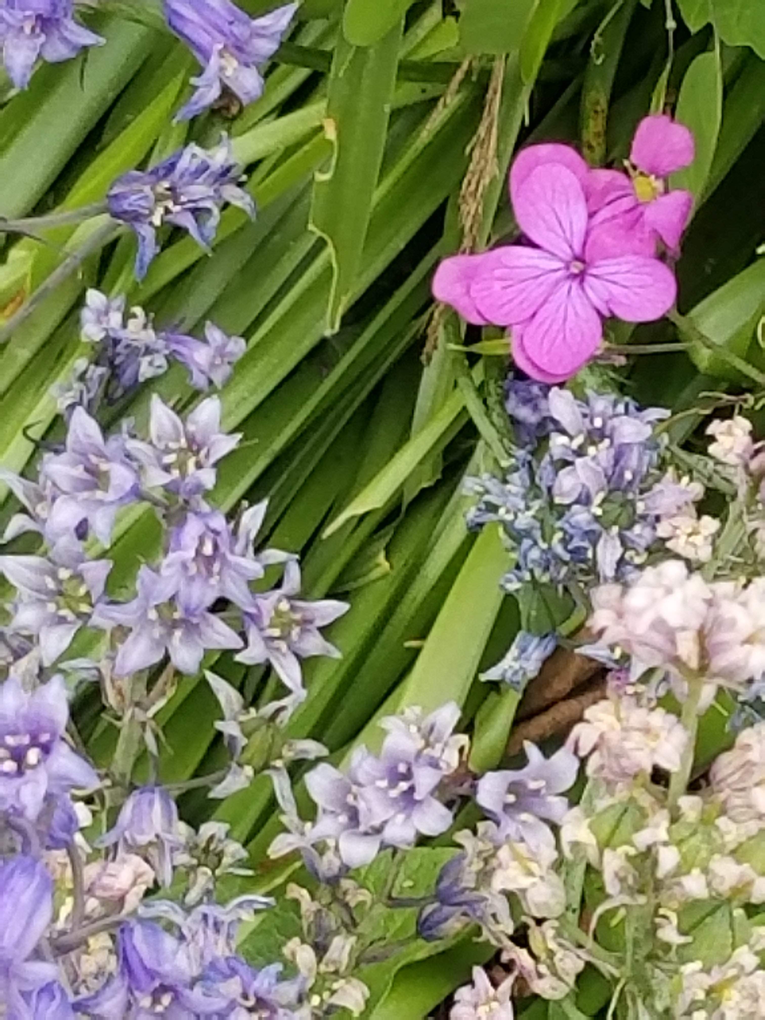20180510_105941.jpg
