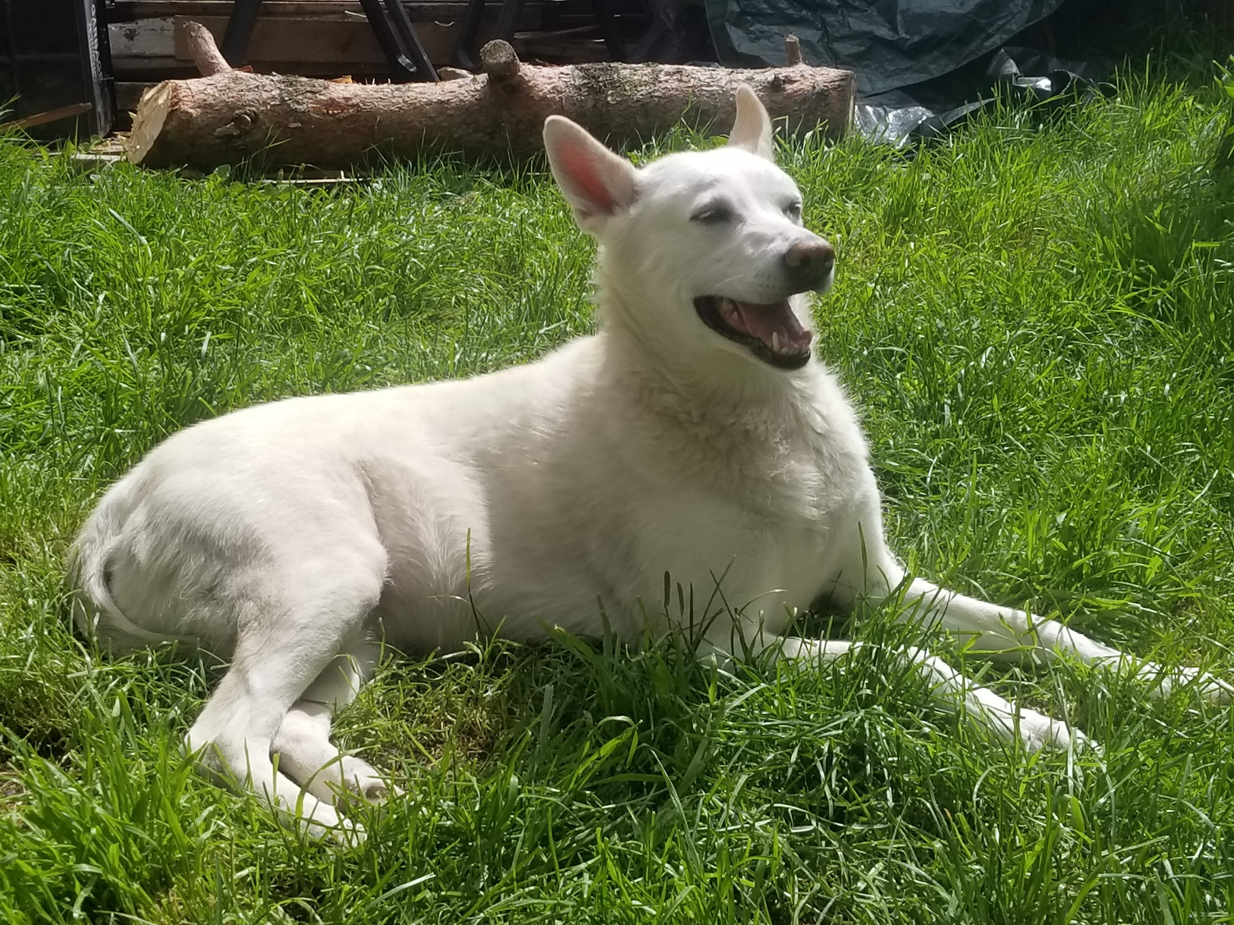 20180510_143148.jpg