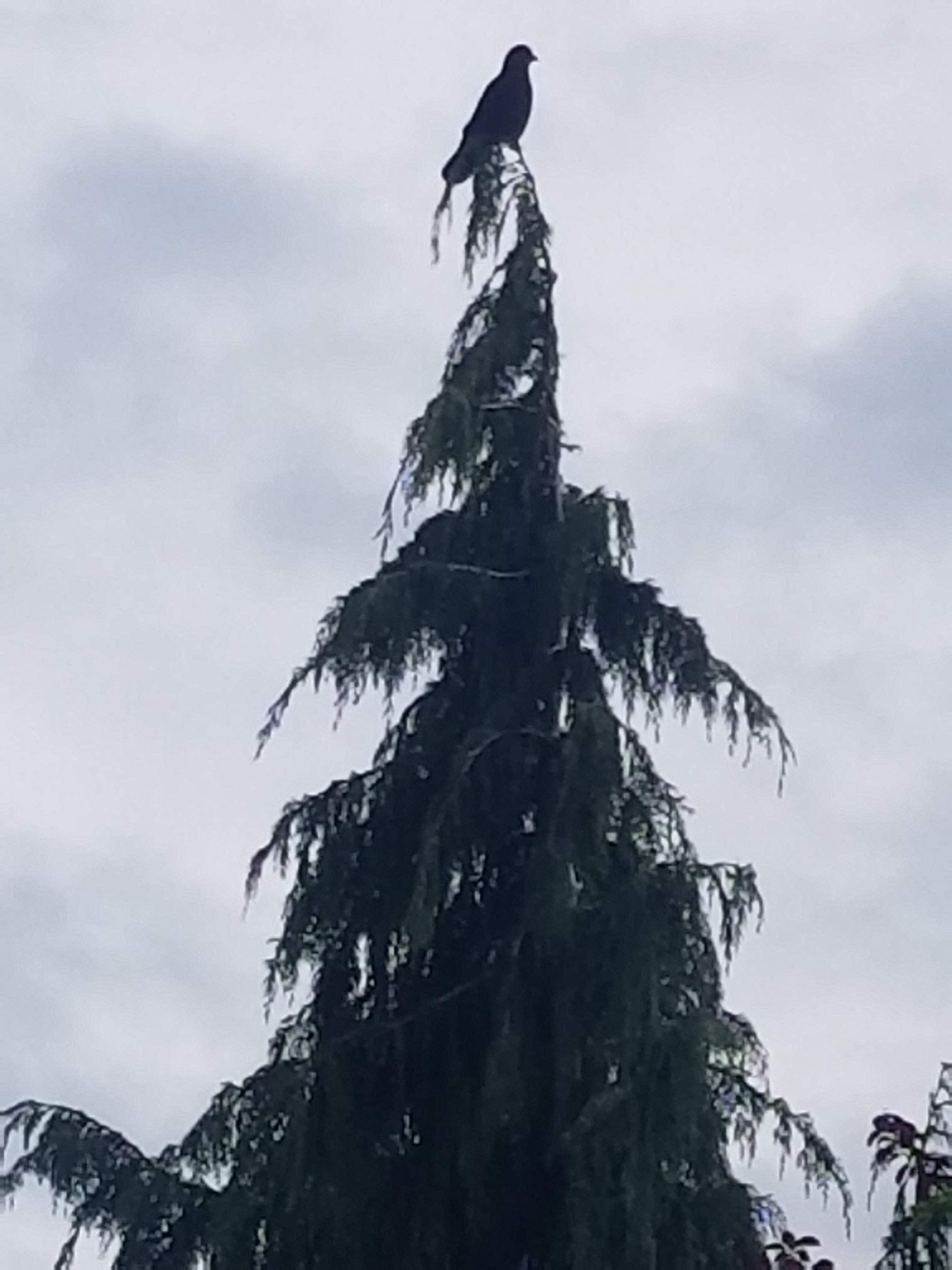 20180510_153459.jpg