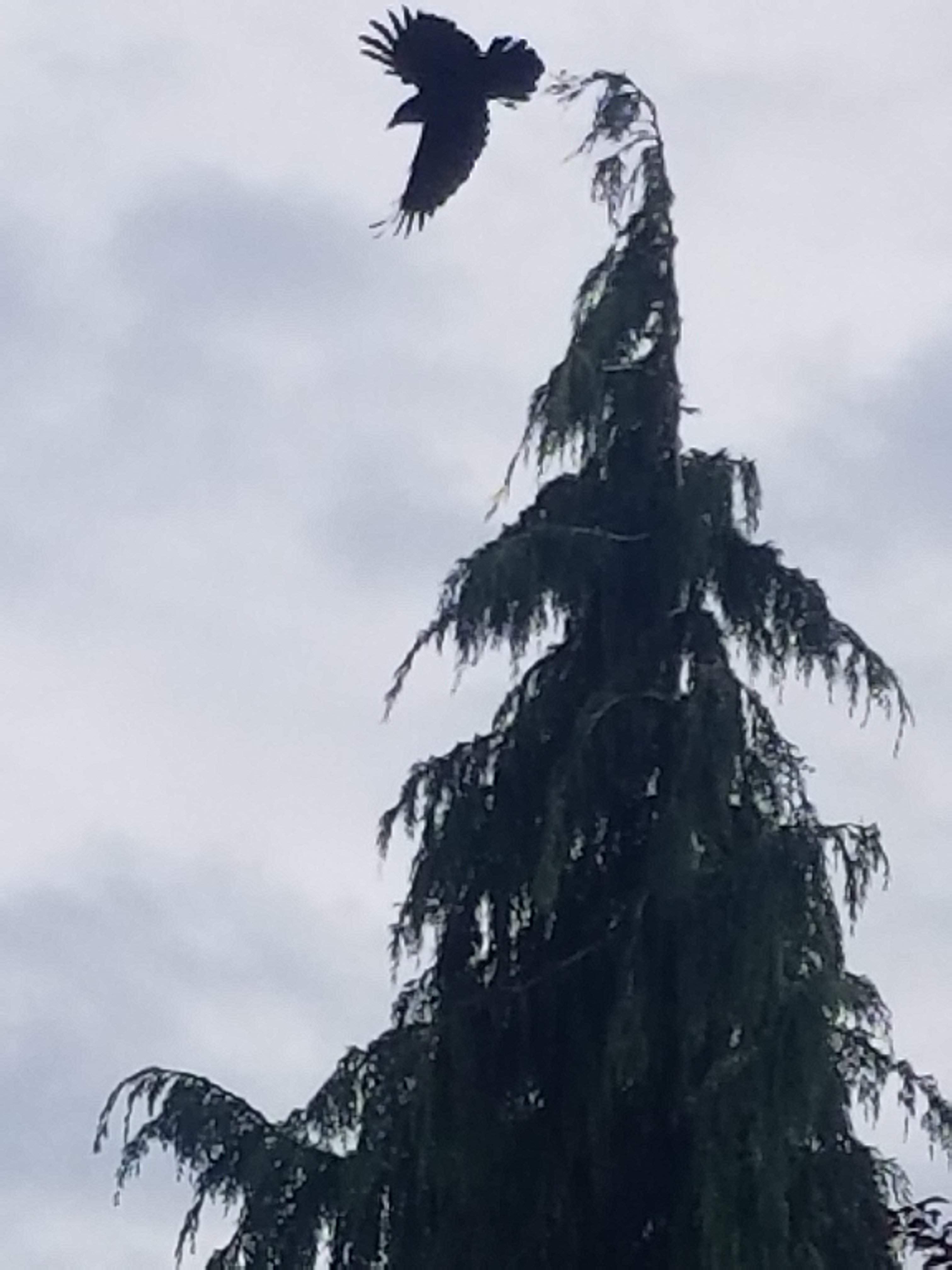 20180510_153516.jpg