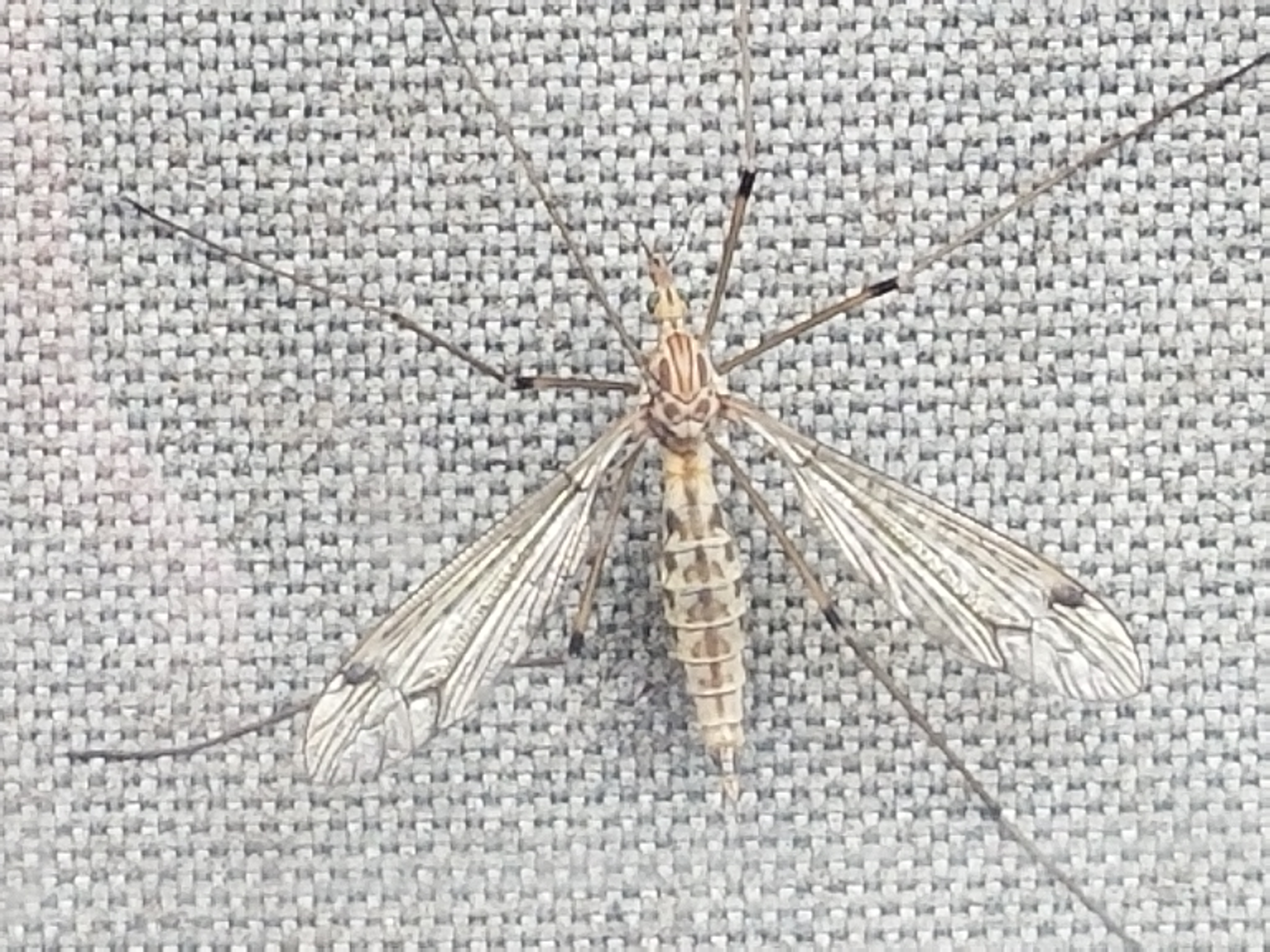 20180510_154136.jpg