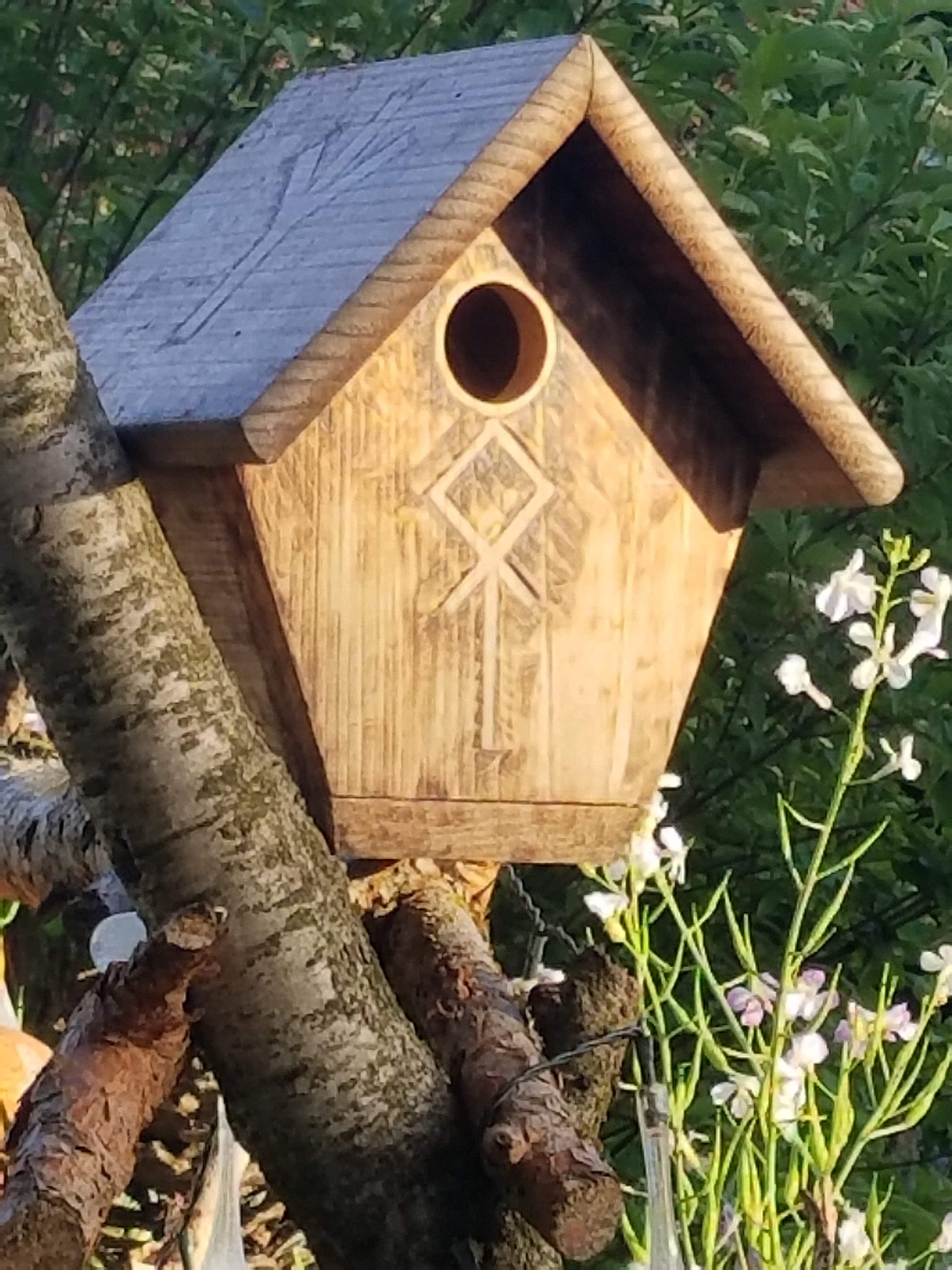 20180510_192354.jpg