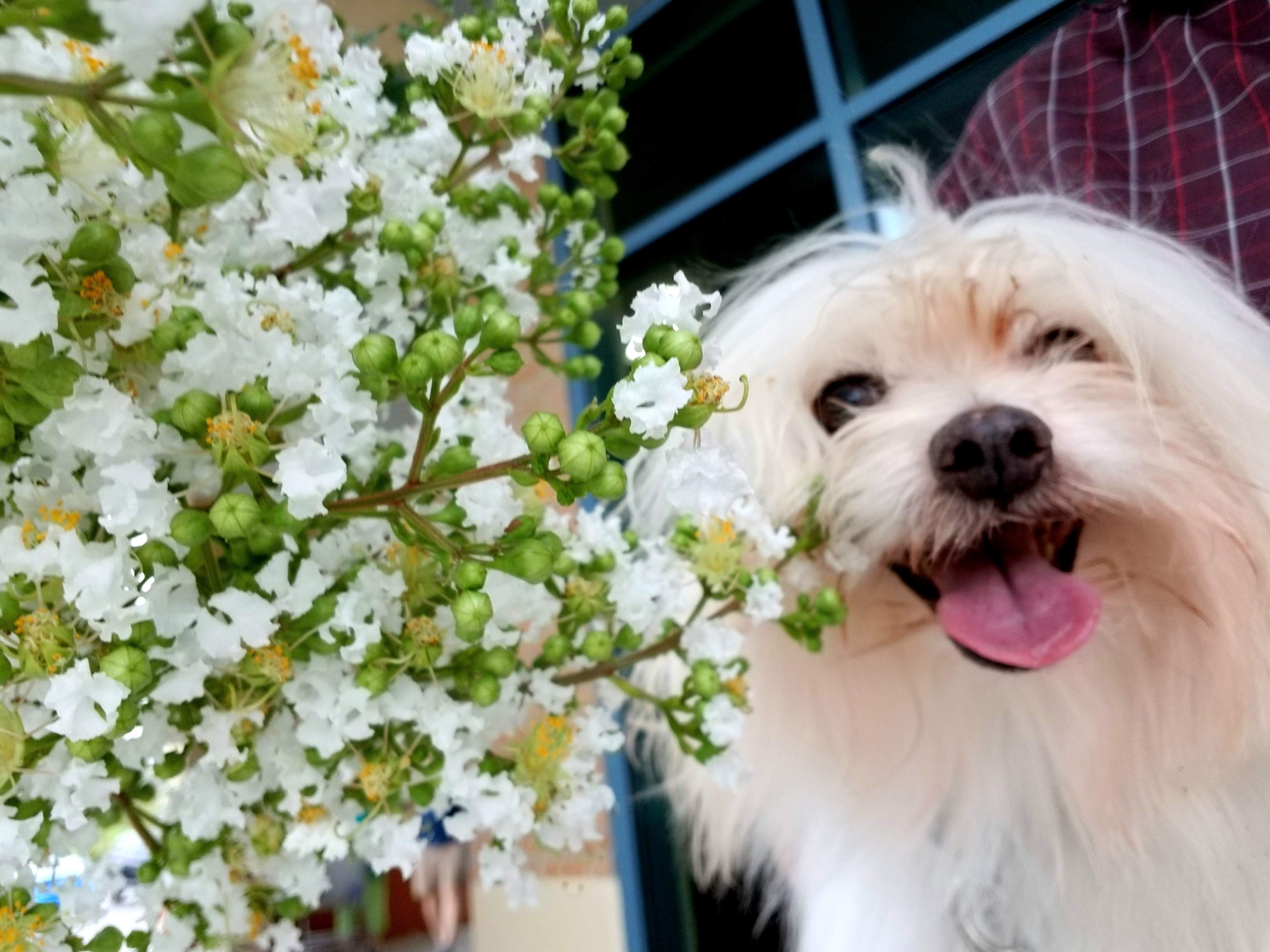 20180512_133617.jpg