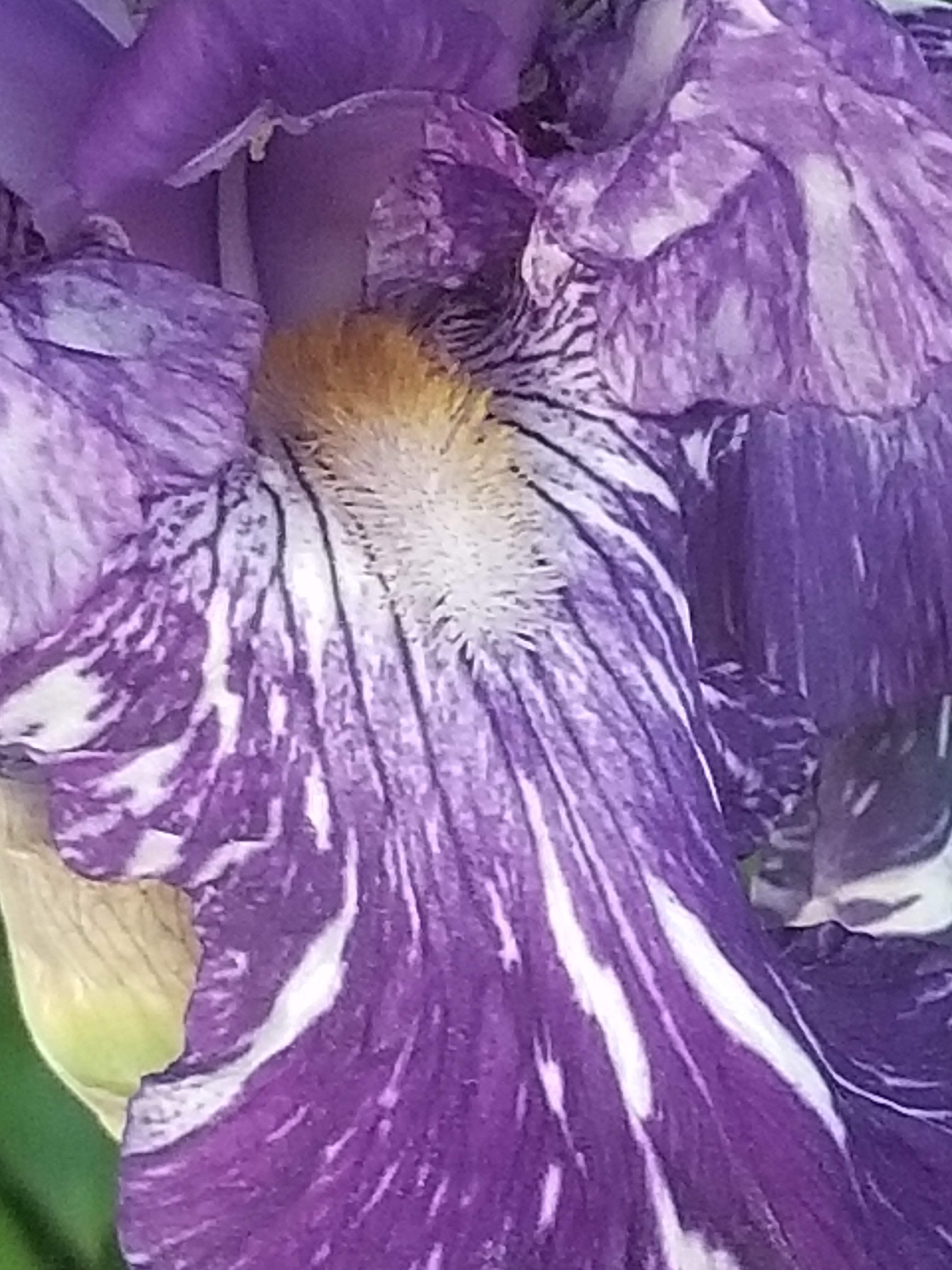 20180513_055902.jpg